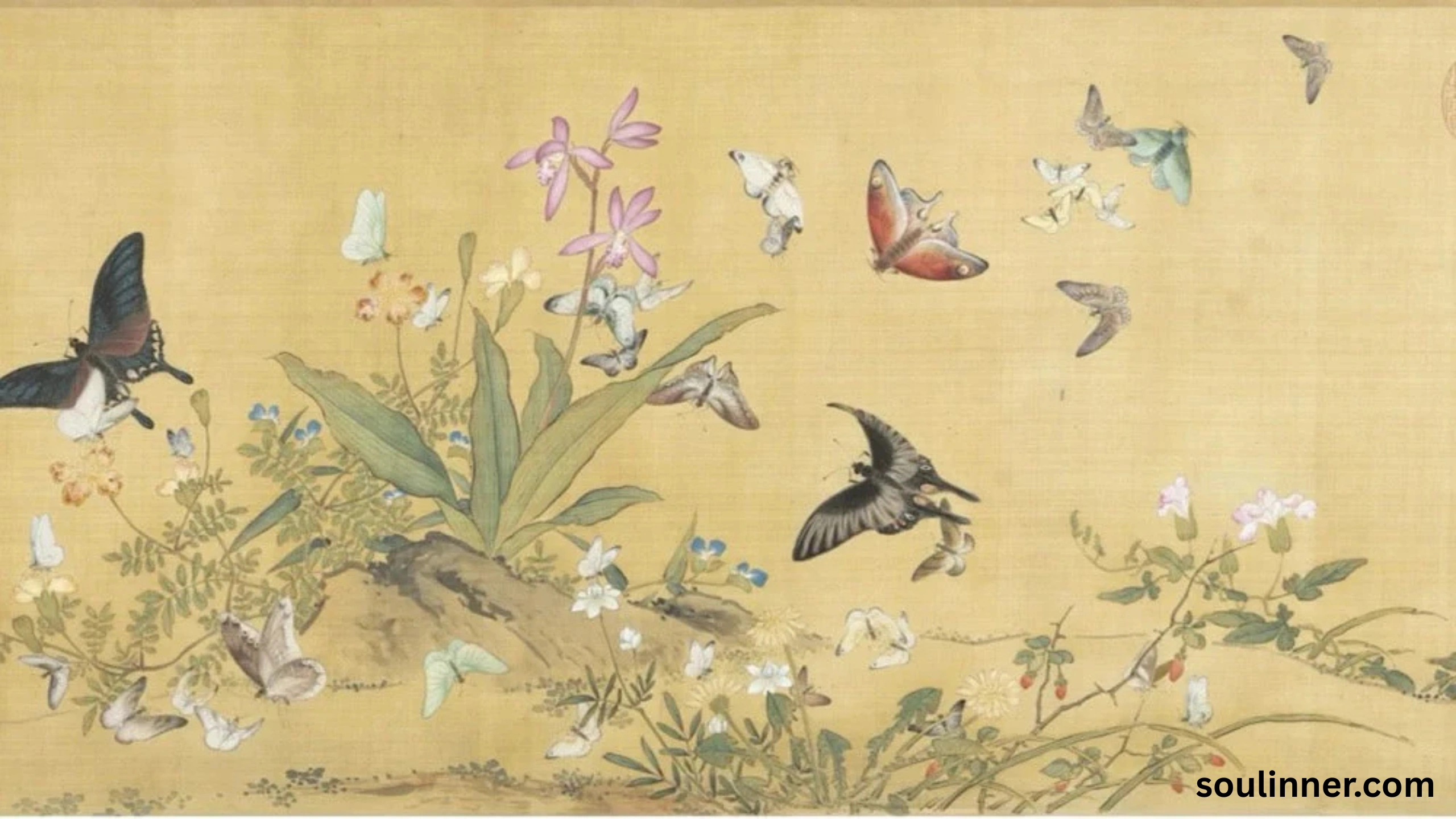 Symbolism and Spiritual Meaning of Butterflies