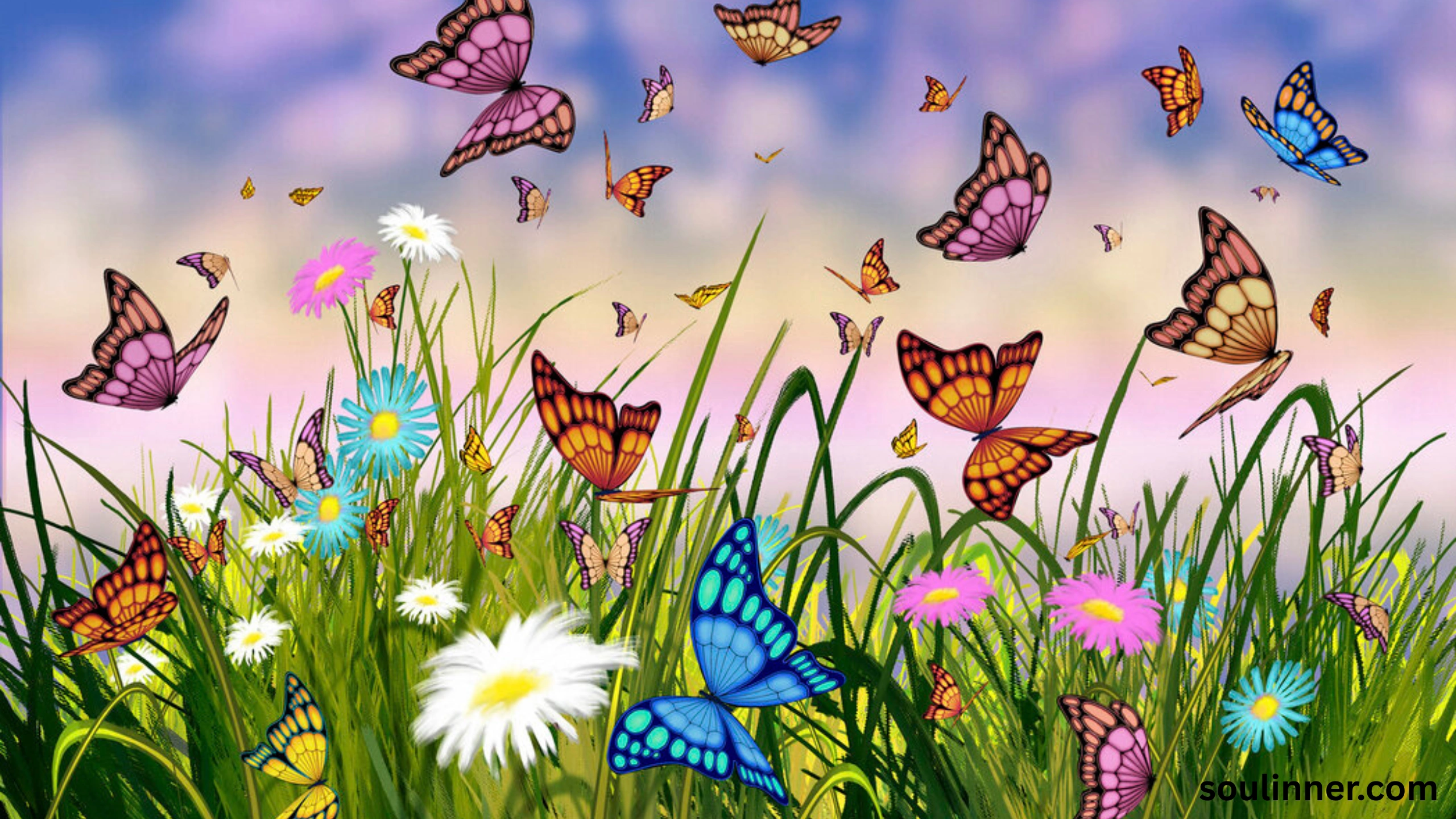 Symbolism and Spiritual Meaning of Butterflies