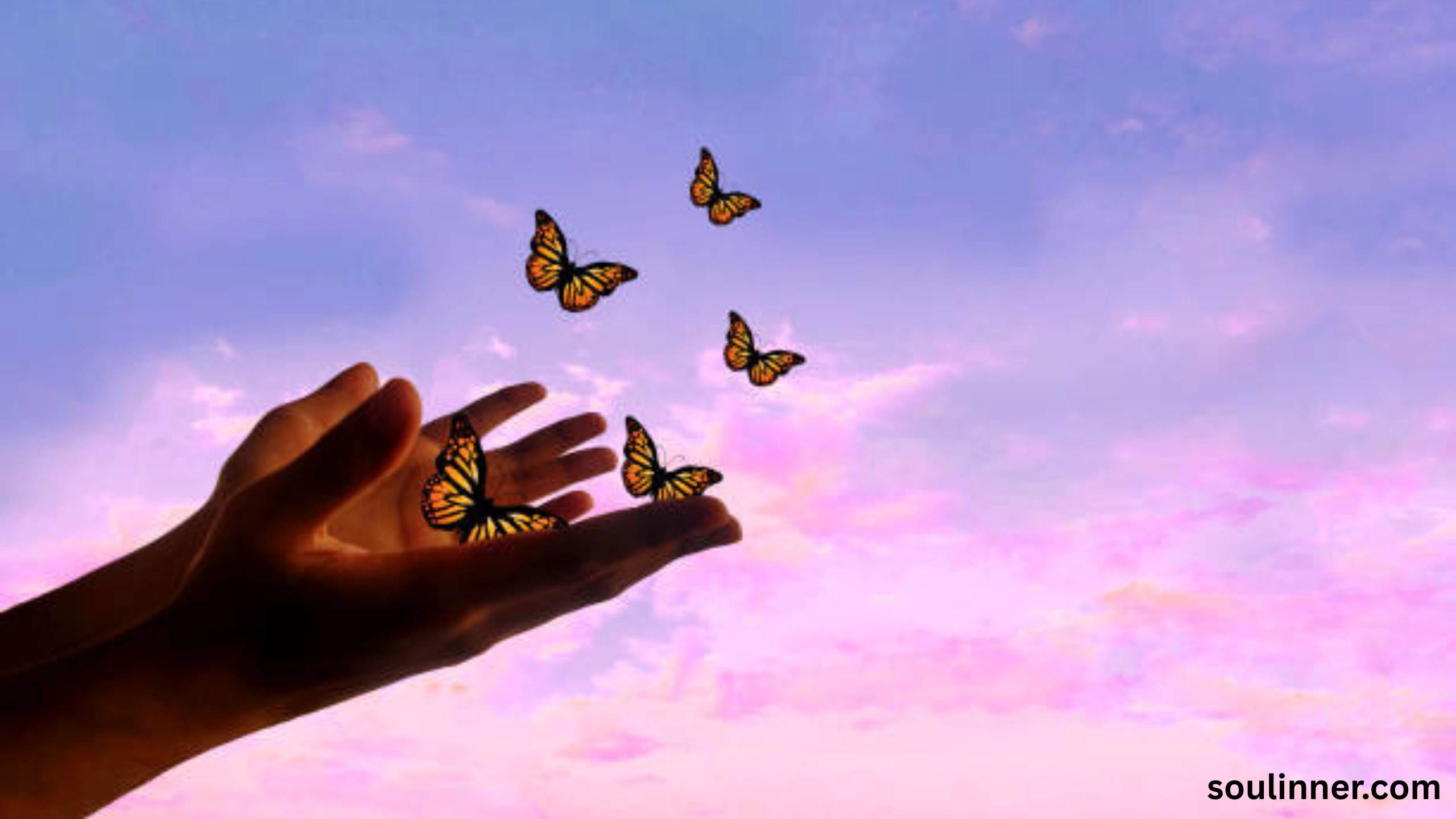 Symbolism and Spiritual Meaning of Butterflies