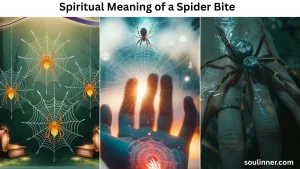 Symbolism and Spiritual Meaning of a Spider Bite