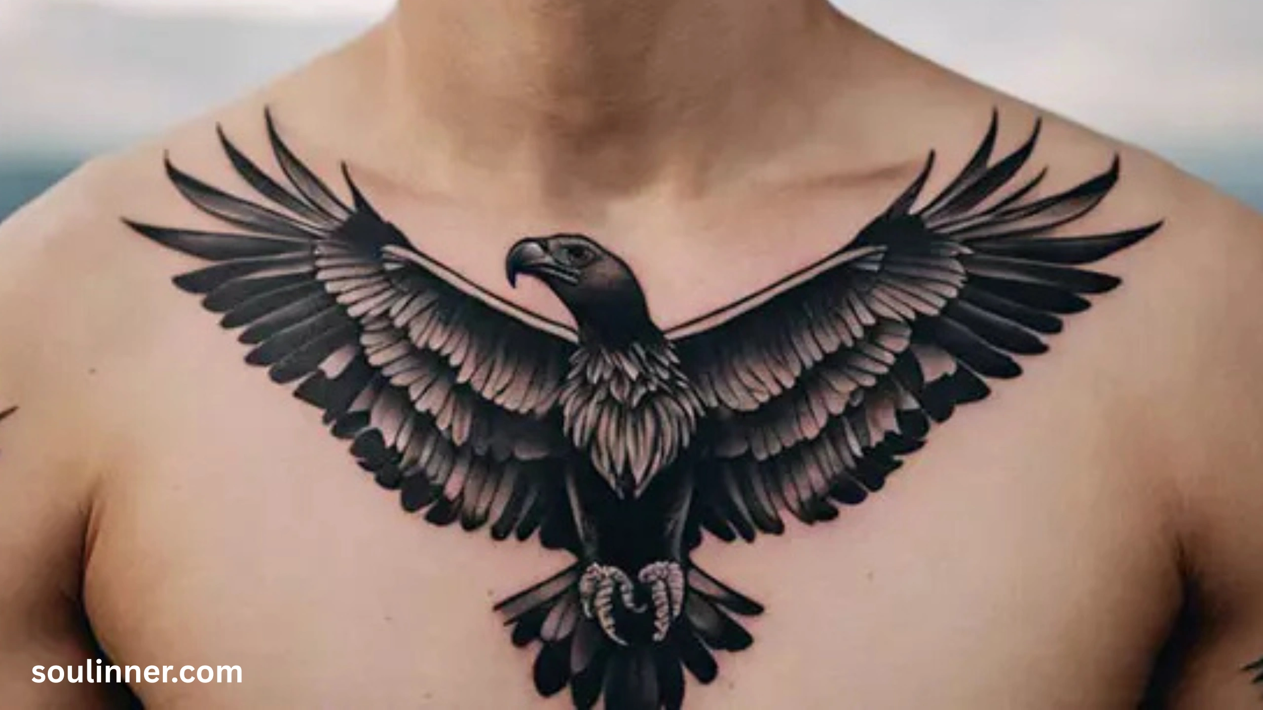 Vulture Spiritual Meaning