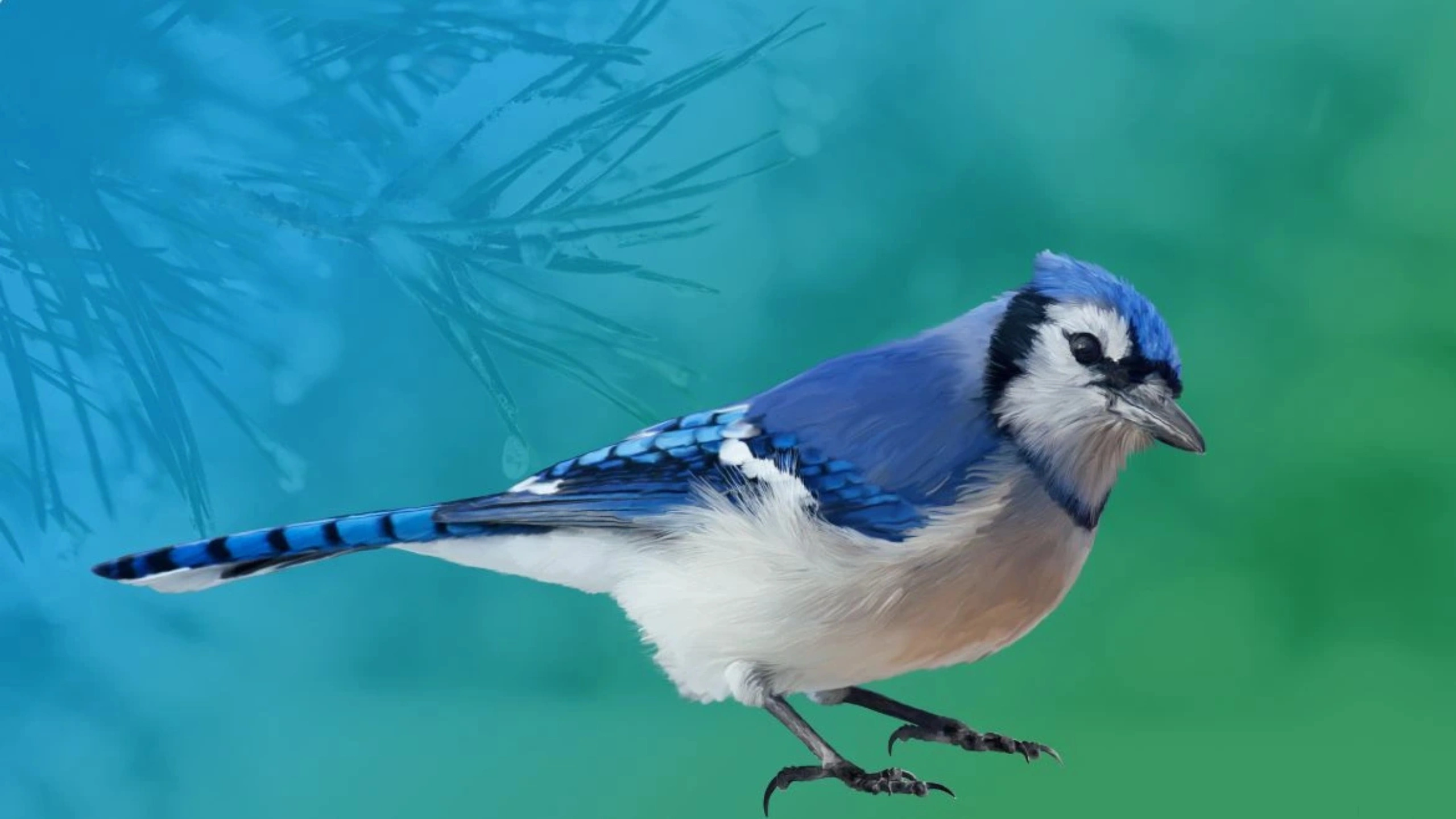 blue jay spiritual meaning