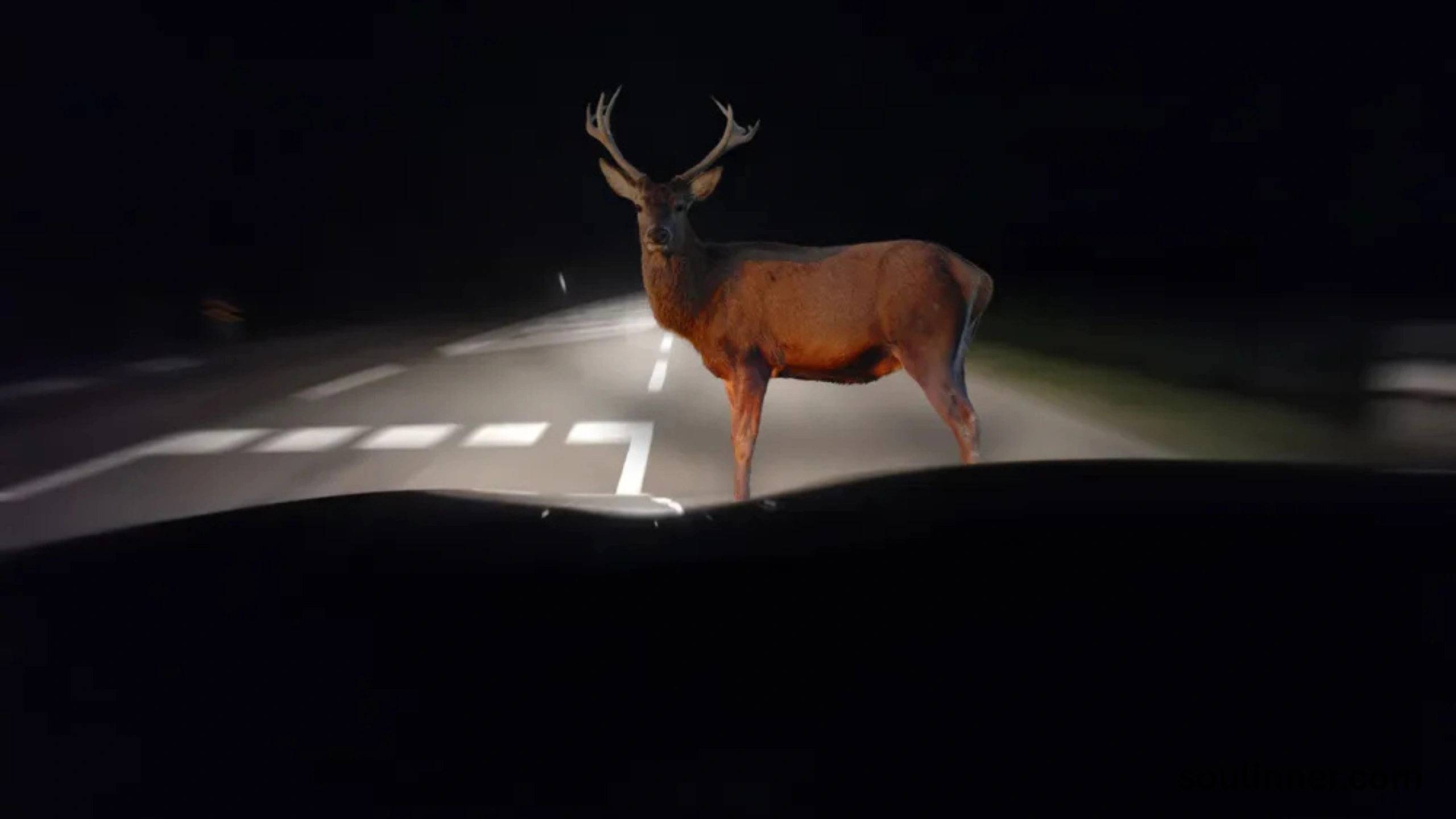 deer staring at me spiritual meaning