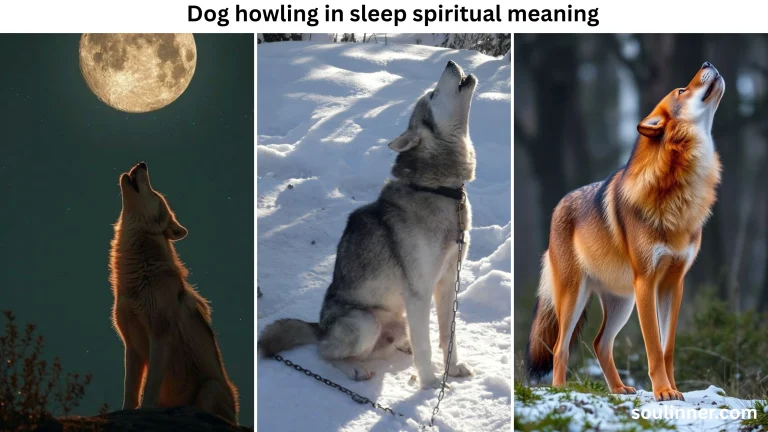 dog howling in sleep spiritual meaning
