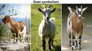 goat symbolism