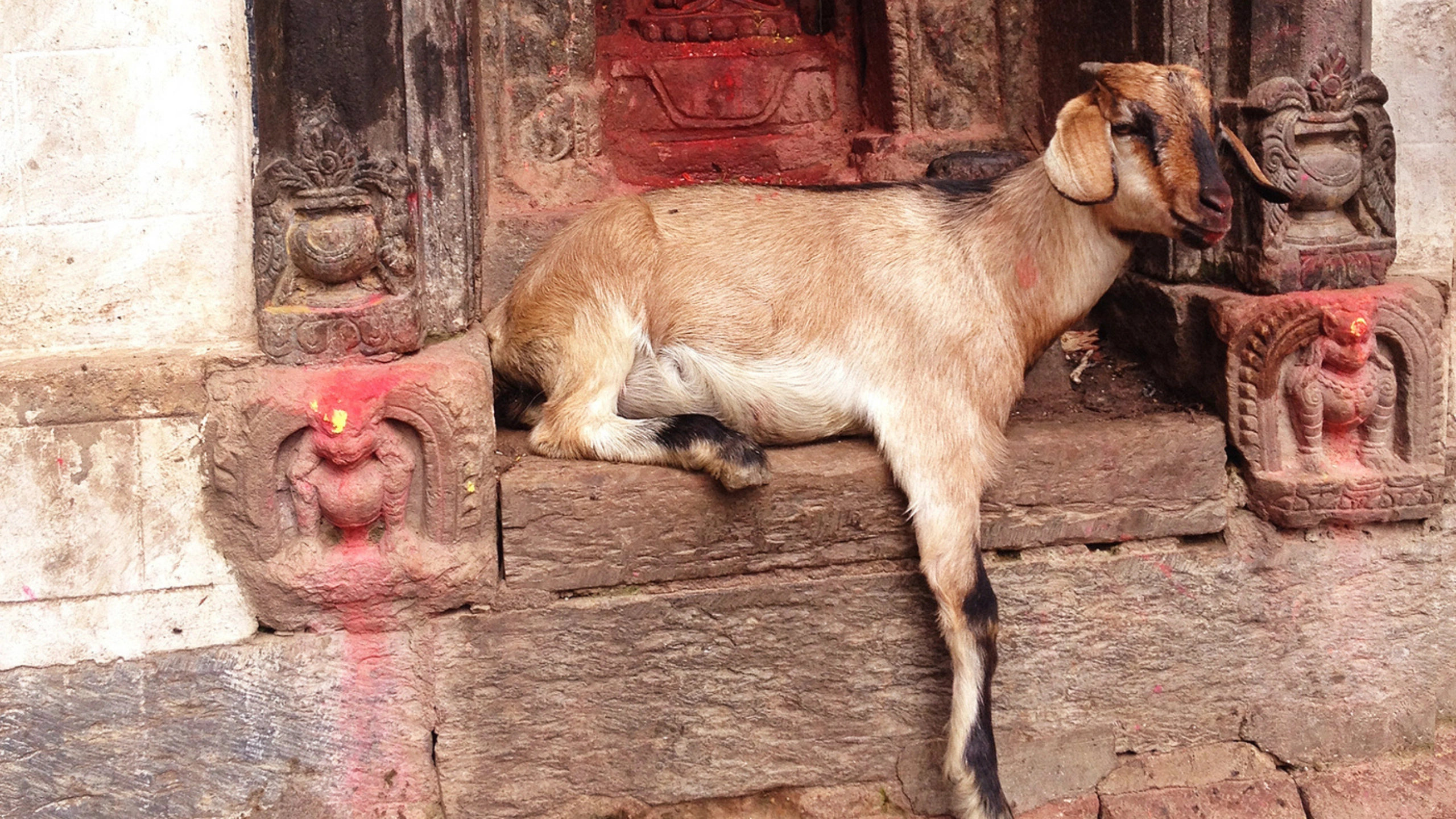 goat symbolism