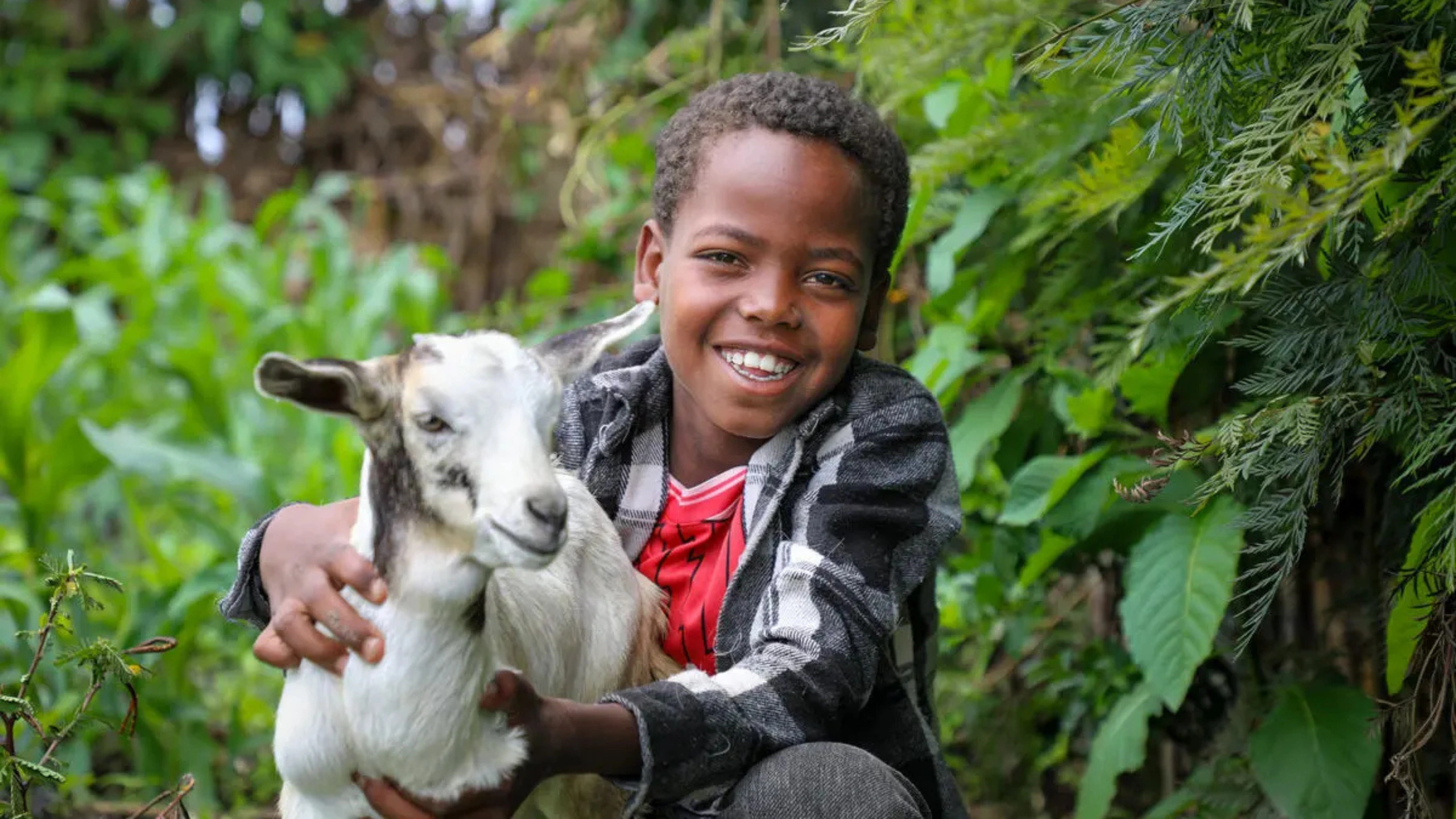 goat symbolism