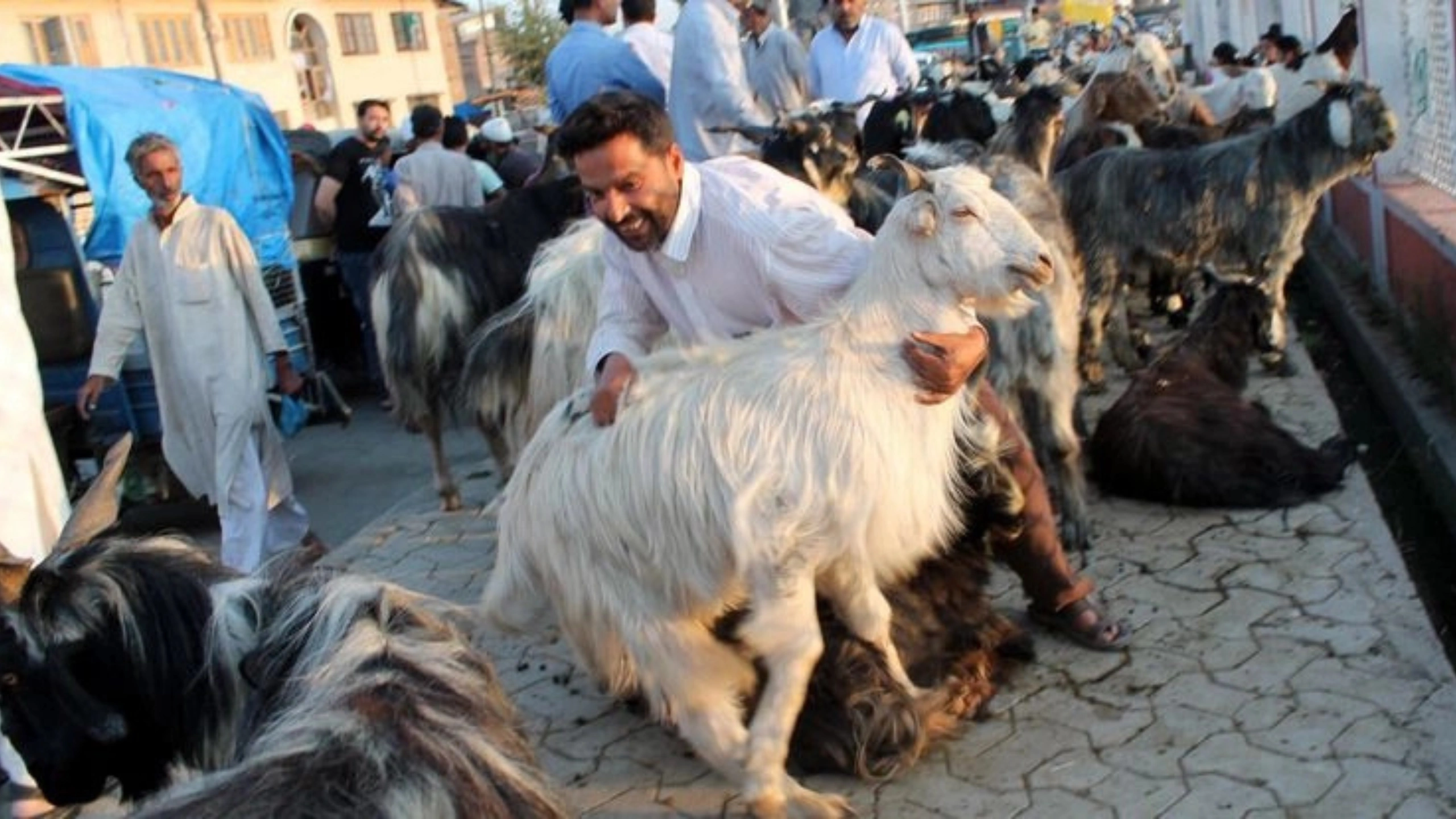 goat symbolism