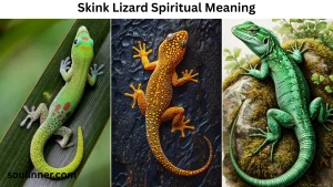 skink lizard Spiritual Meaning
