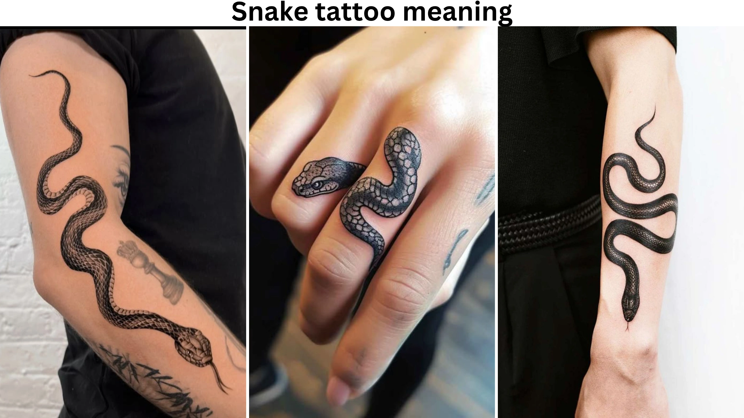 snake tattoo meaning