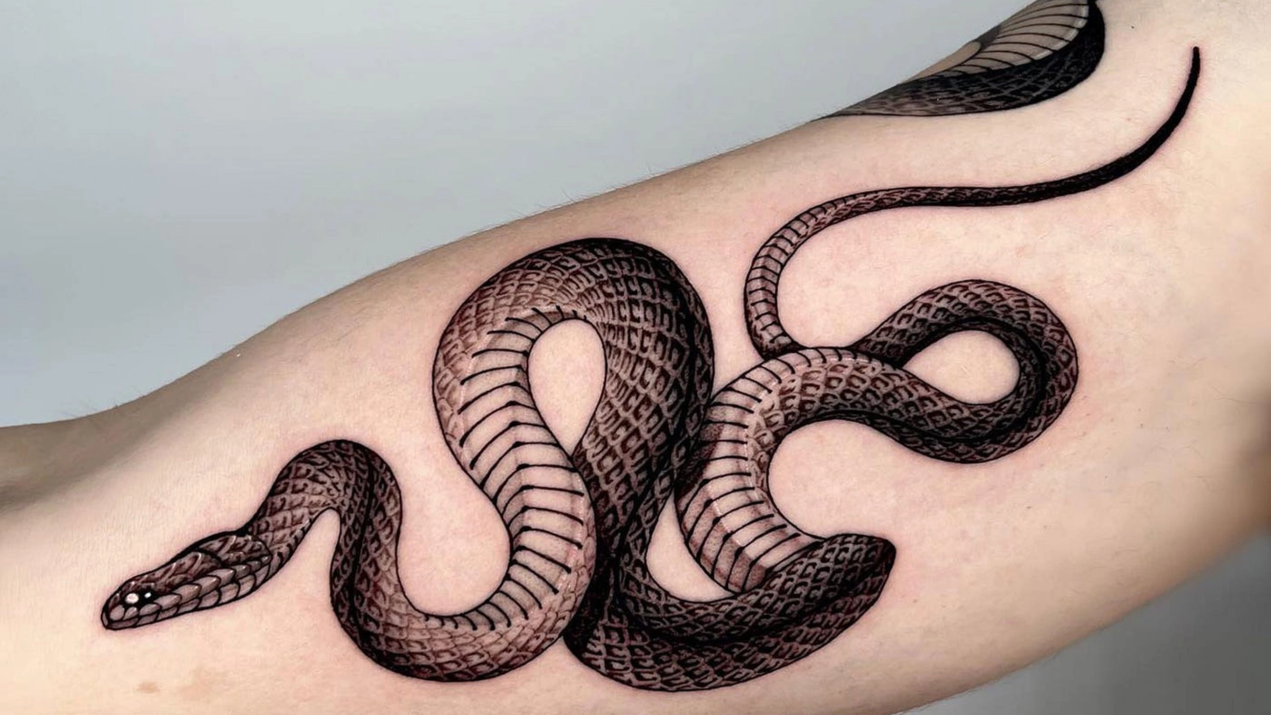snake tattoo meaning