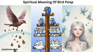 spiritual meaning of bird poop