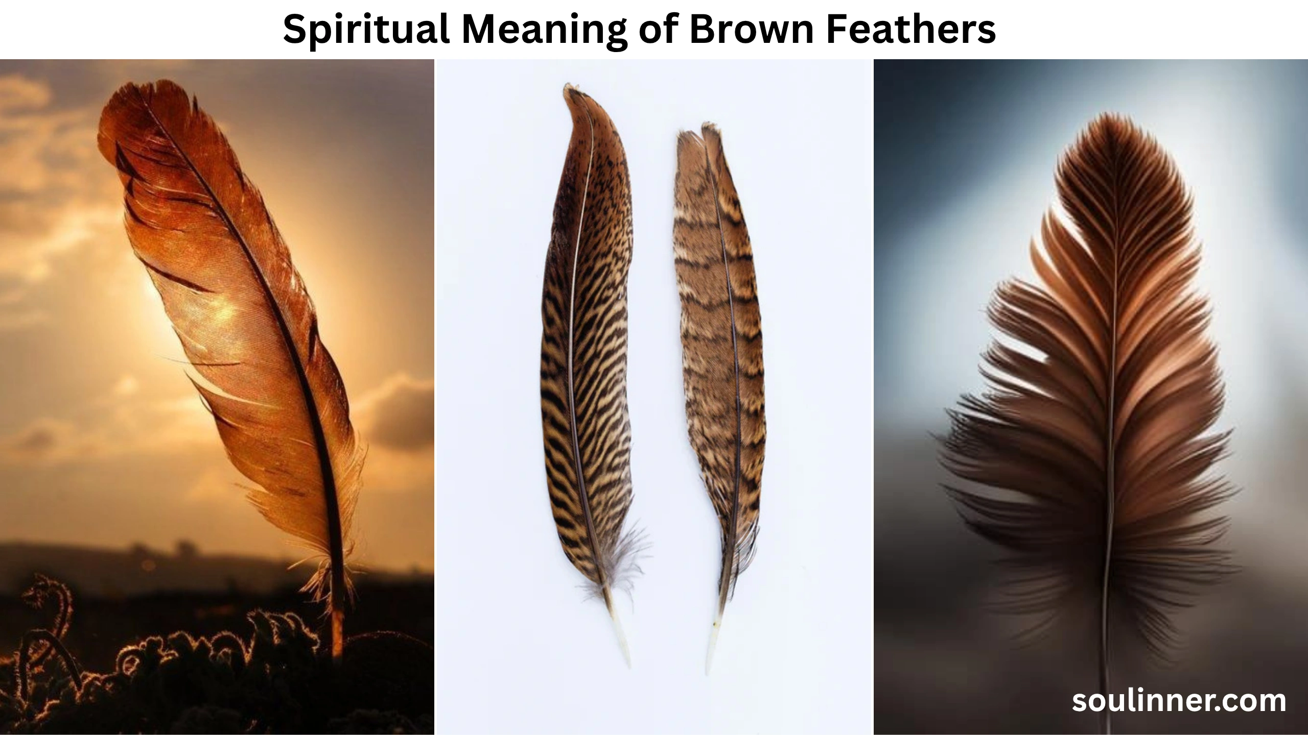 spiritual meaning of brown feathers