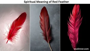 spiritual meaning of red feather