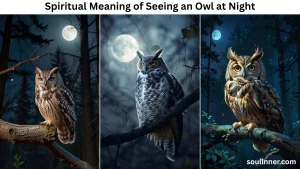 spiritual meaning of seeing an owl at night