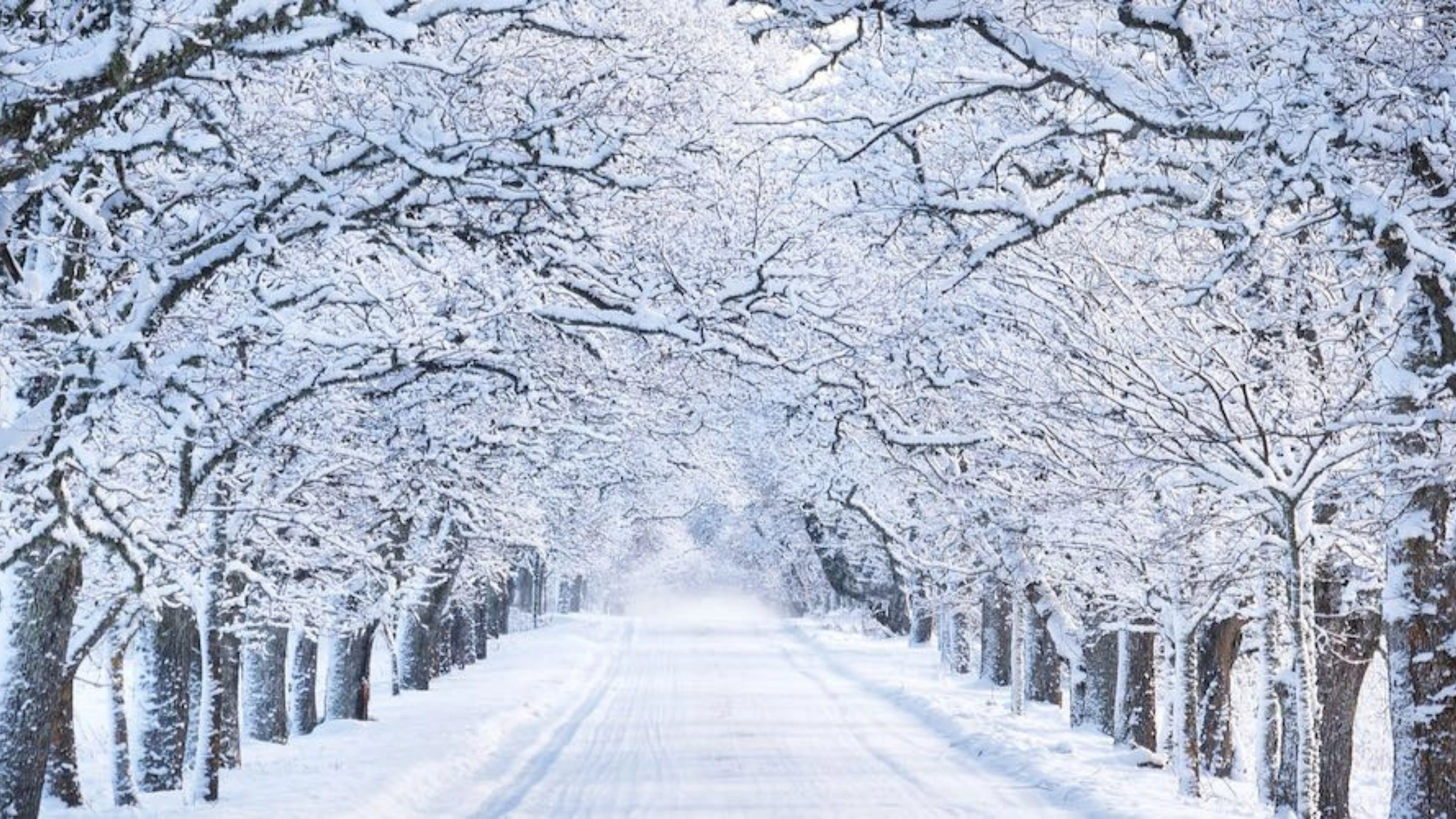 winter symbolism