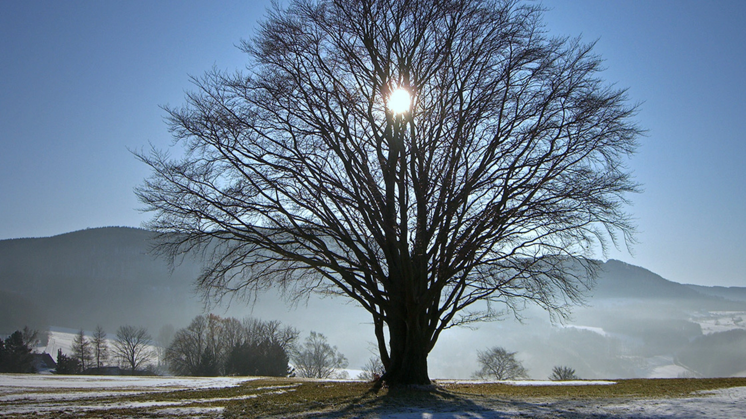 winter symbolism