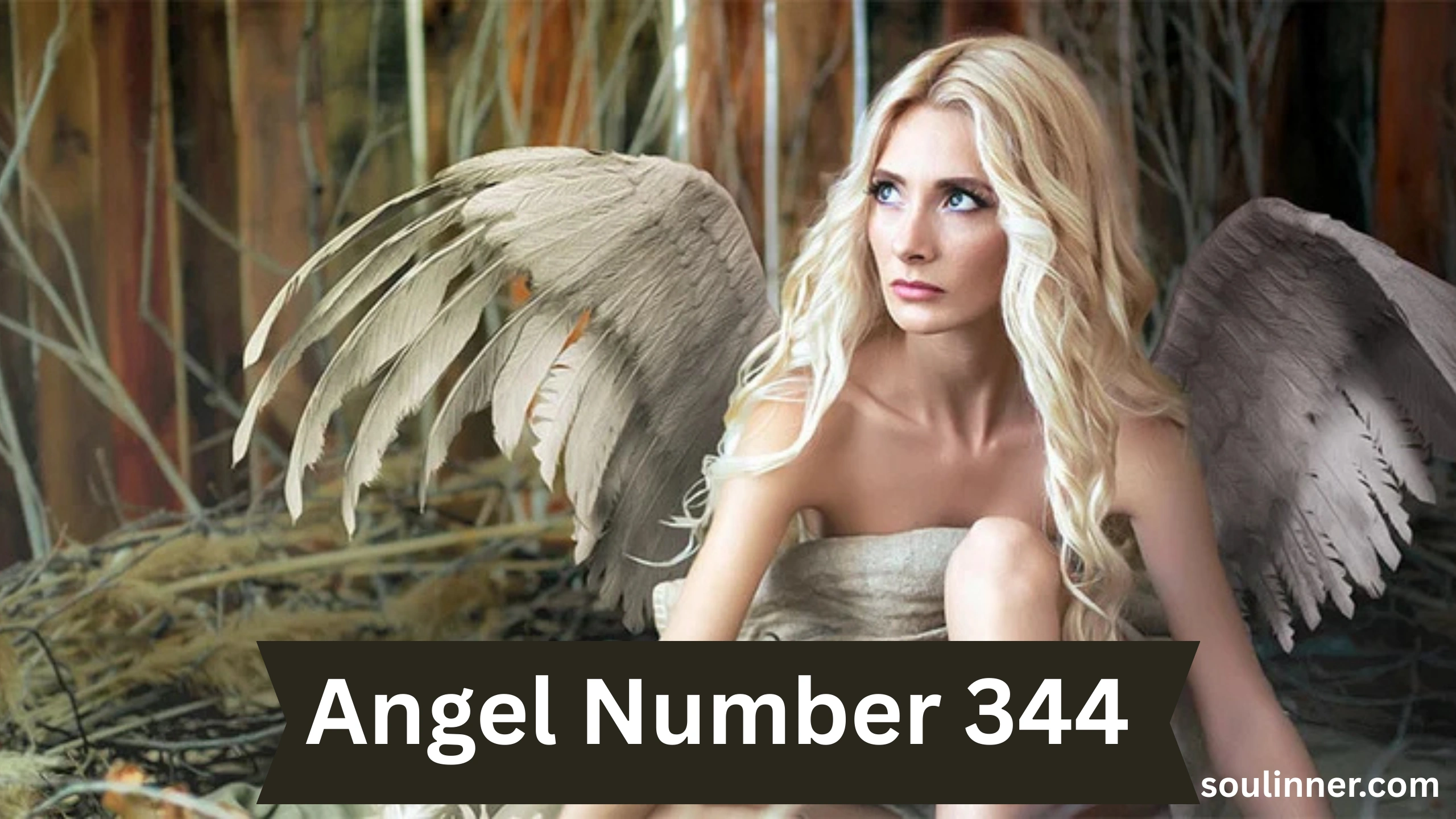 344 Angel Number Meaning Twin Flame