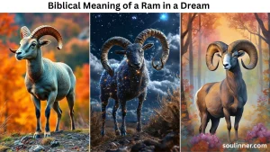 Biblical Meaning of a Ram in a Dream