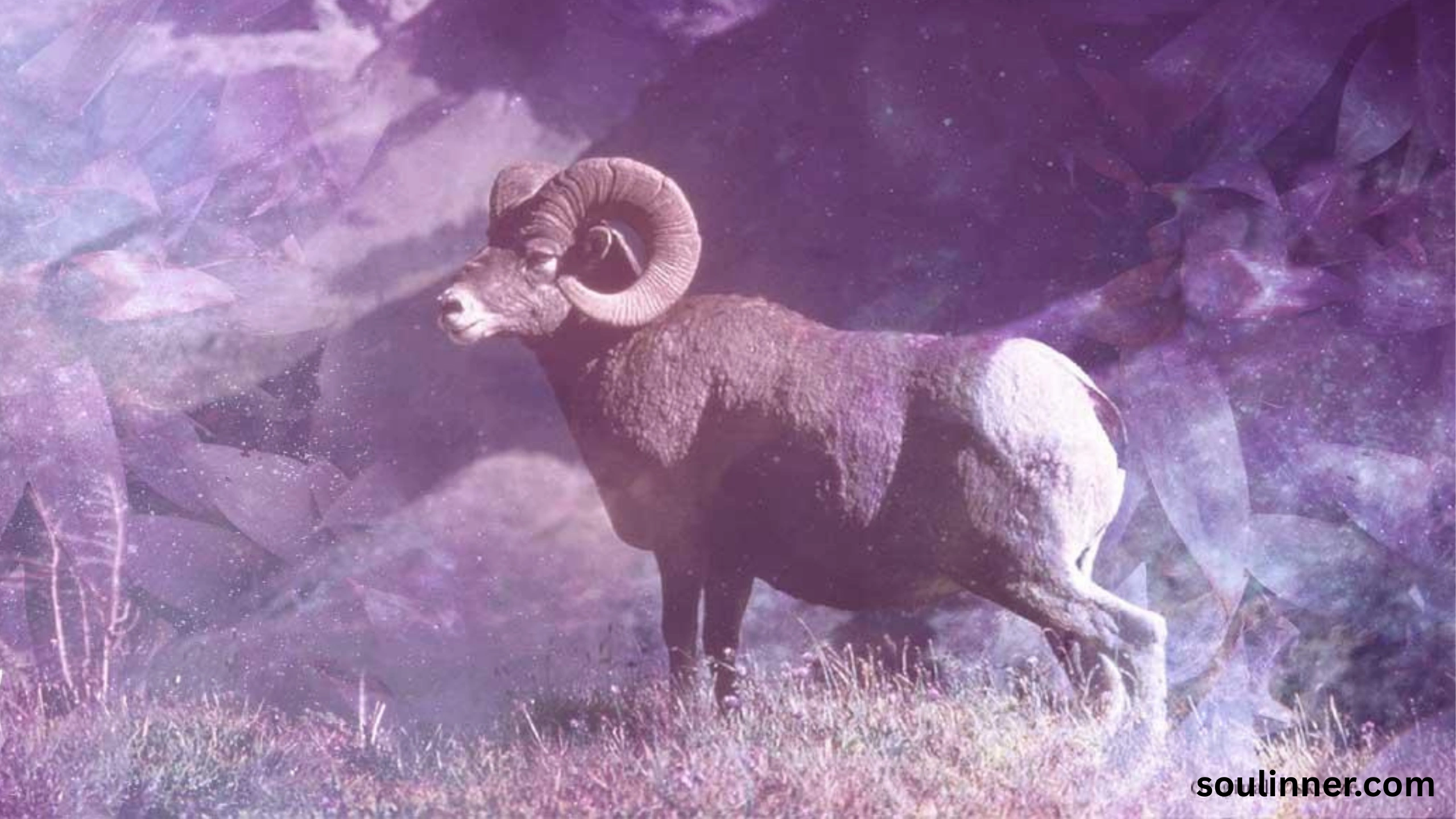  Biblical Meaning of a Ram in a Dream