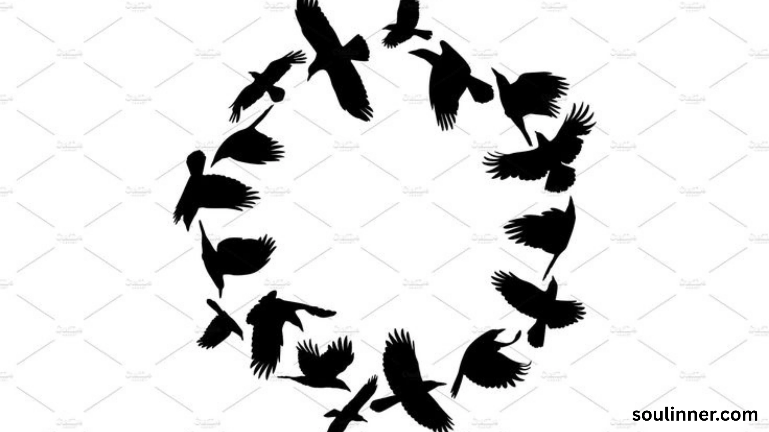 Birds Flying In A Circle Spiritual Meaning