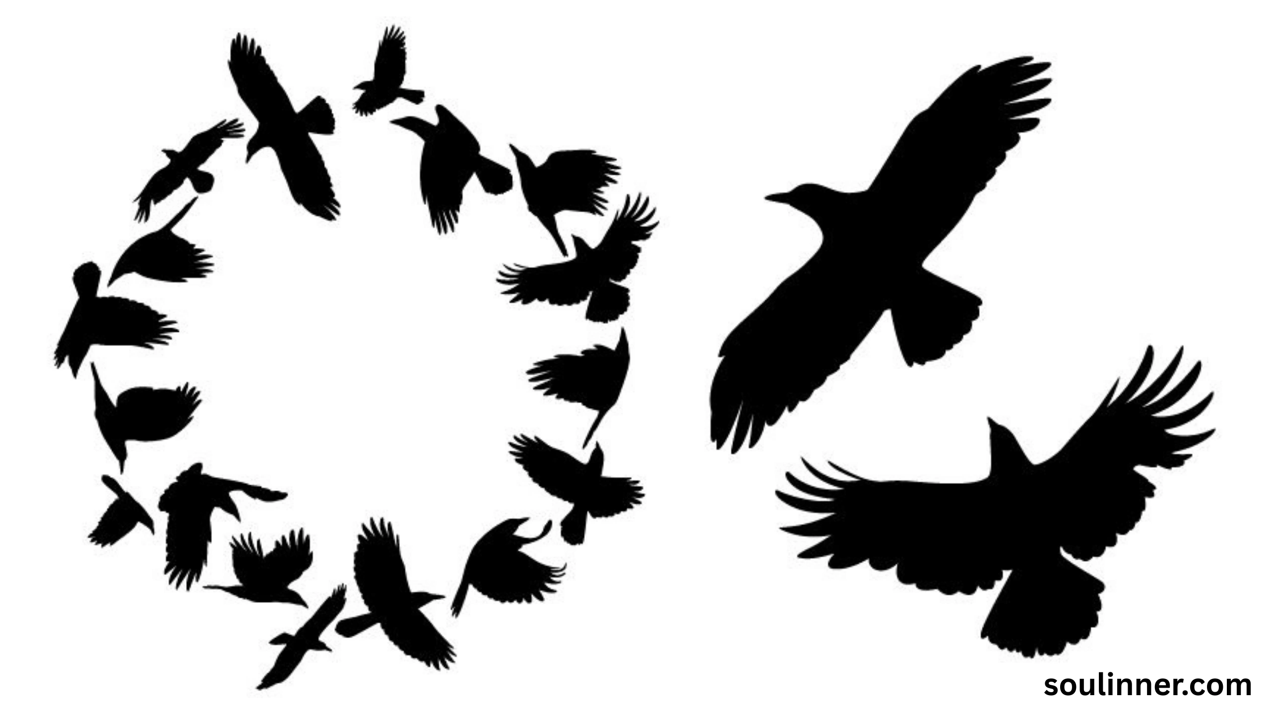 Birds Flying In A Circle Spiritual Meaning