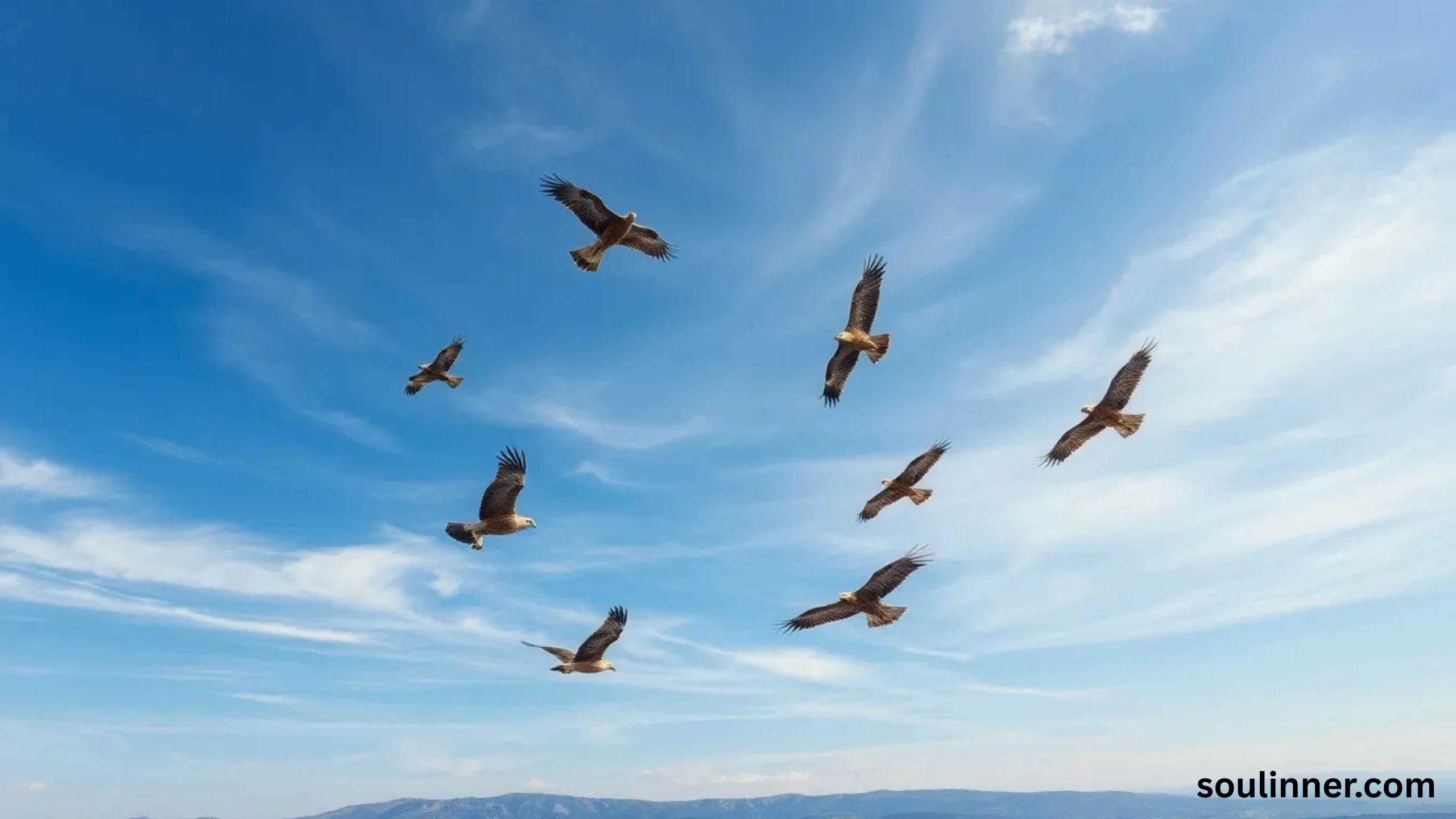 Birds Flying In A Circle Spiritual Meaning