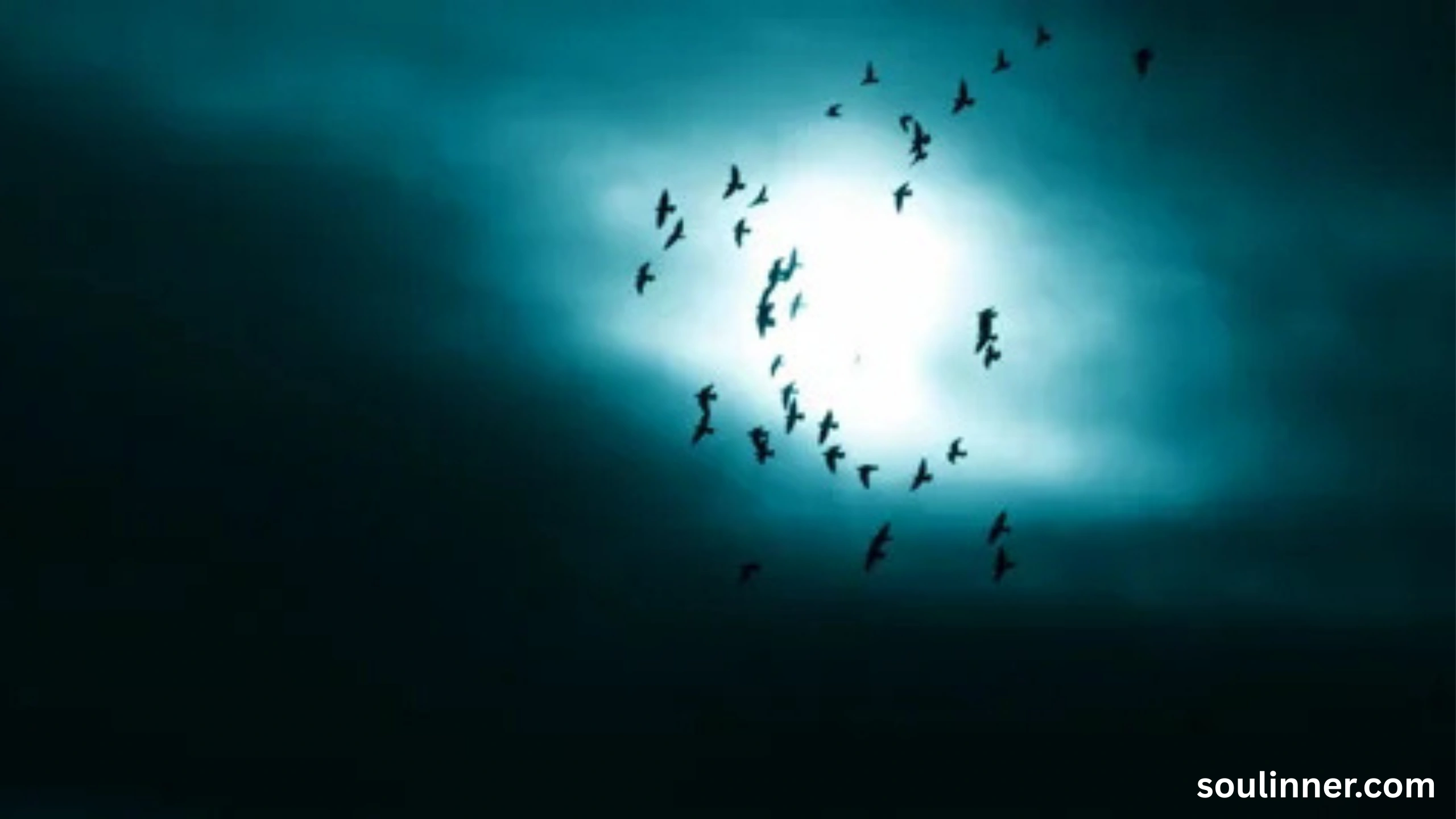 Birds Flying In A Circle Spiritual Meaning
