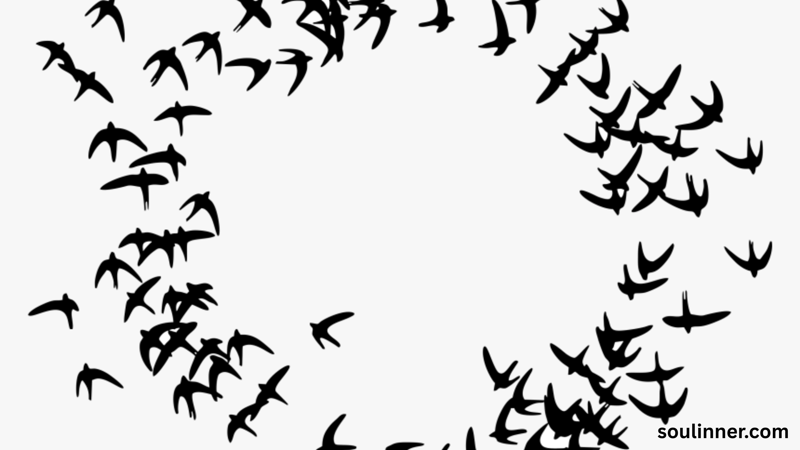 Birds Flying In A Circle Spiritual Meaning