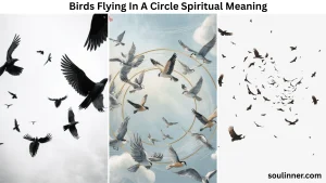 Birds Flying In A Circle Spiritual Meaning