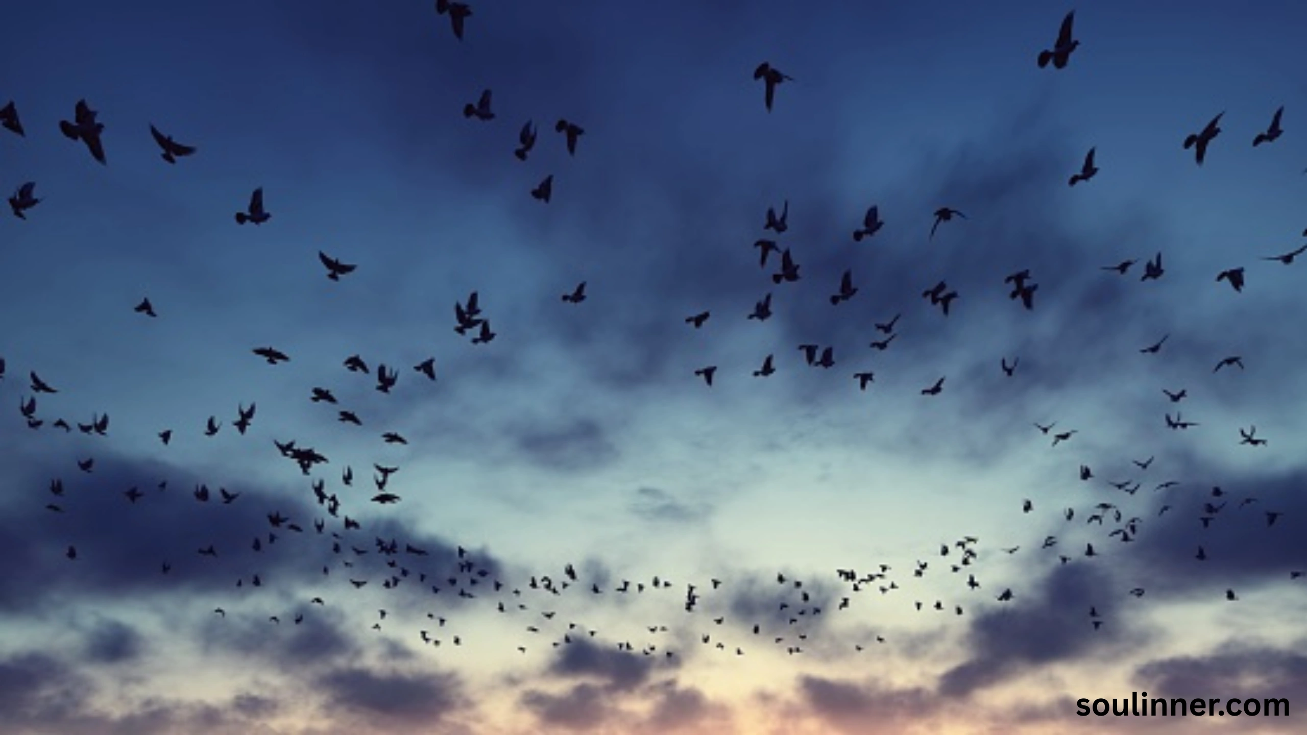 Birds Flying In A Circle Spiritual Meaning