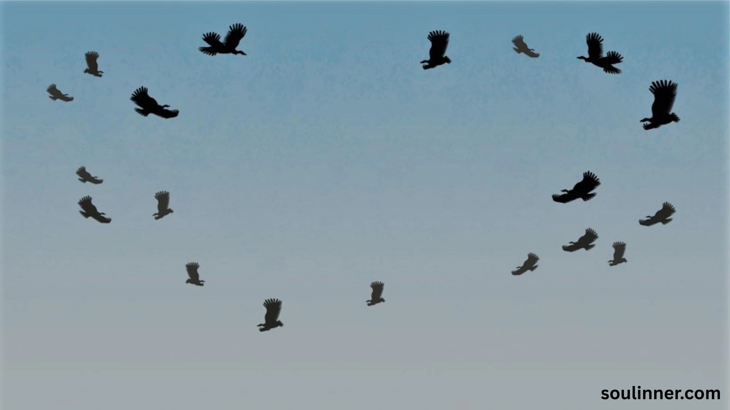 Birds Flying In A Circle Spiritual Meaning