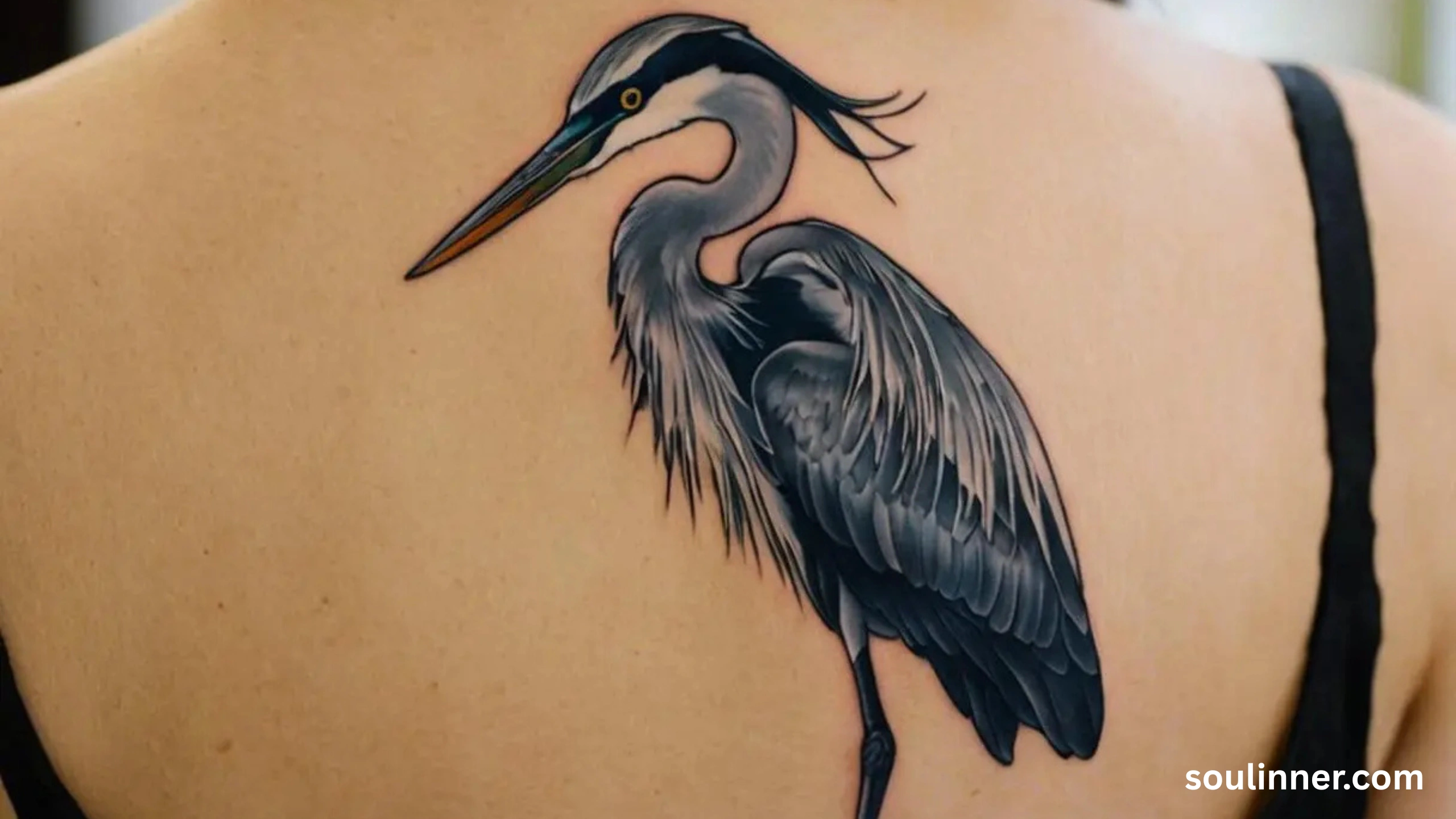 Blue Heron Spiritual Meaning