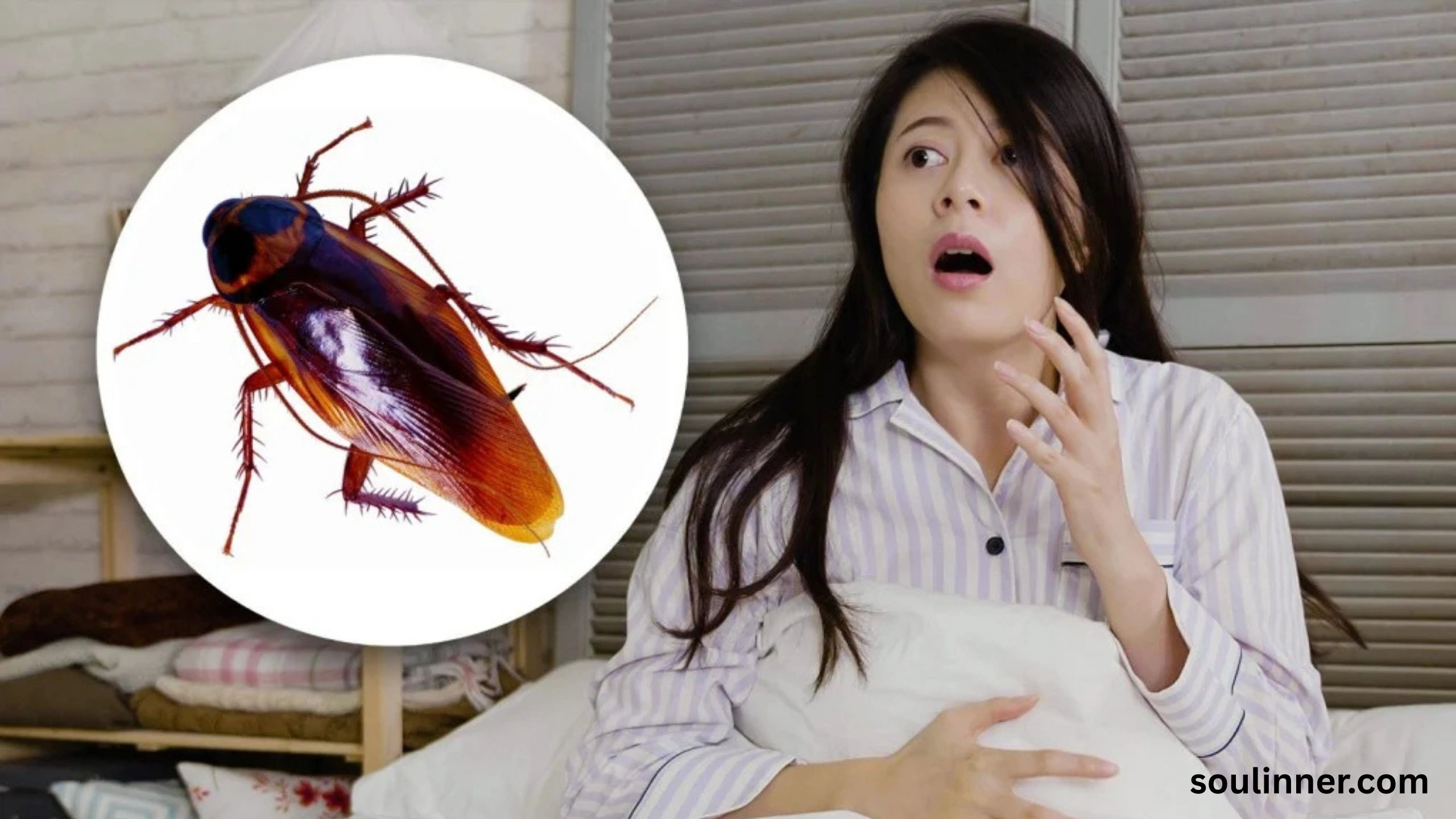 Cockroach Crawling on Me Spiritual Meaning