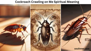 Cockroach Crawling on Me Spiritual Meaning