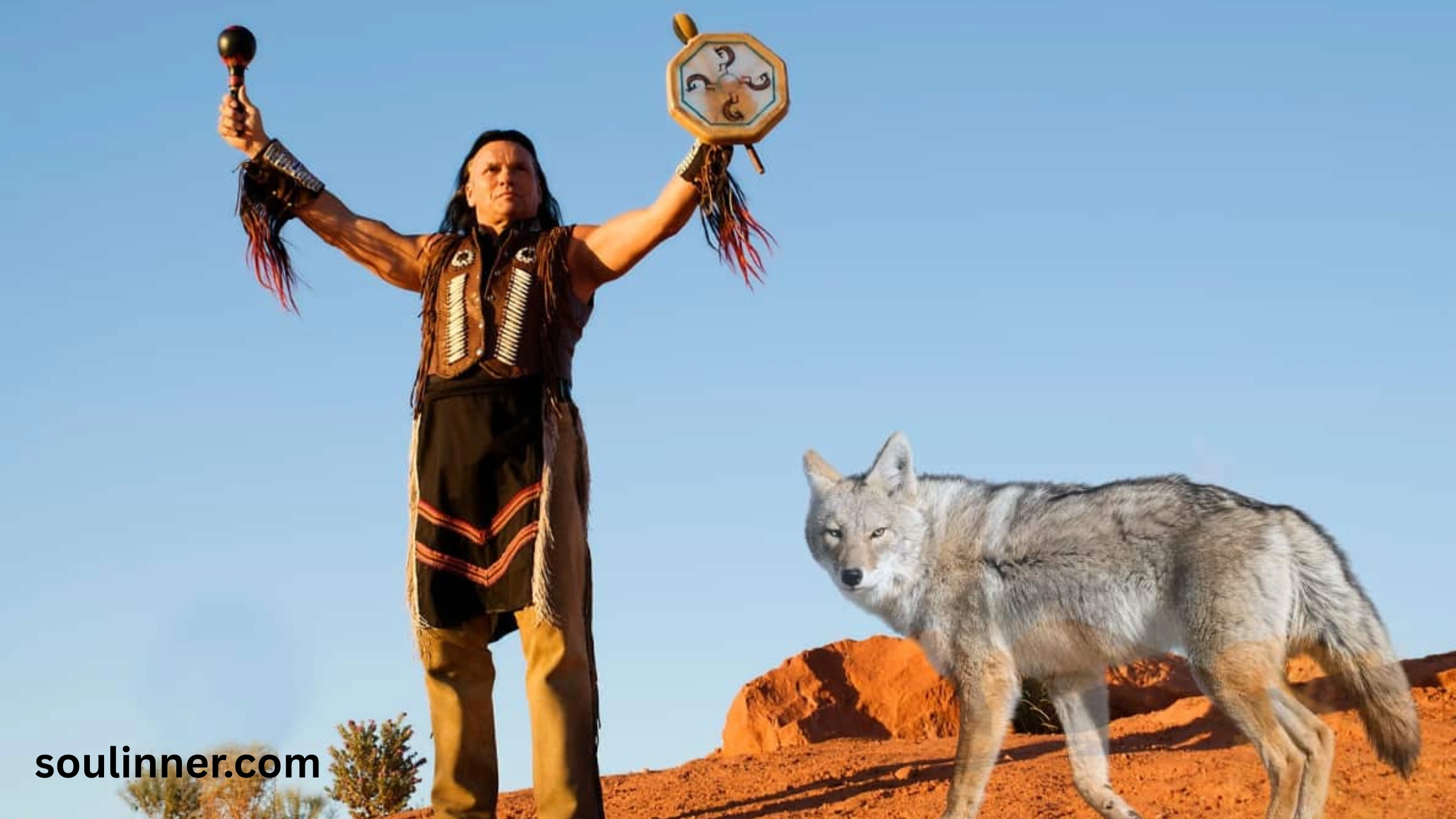 Coyote Spiritual Meaning 