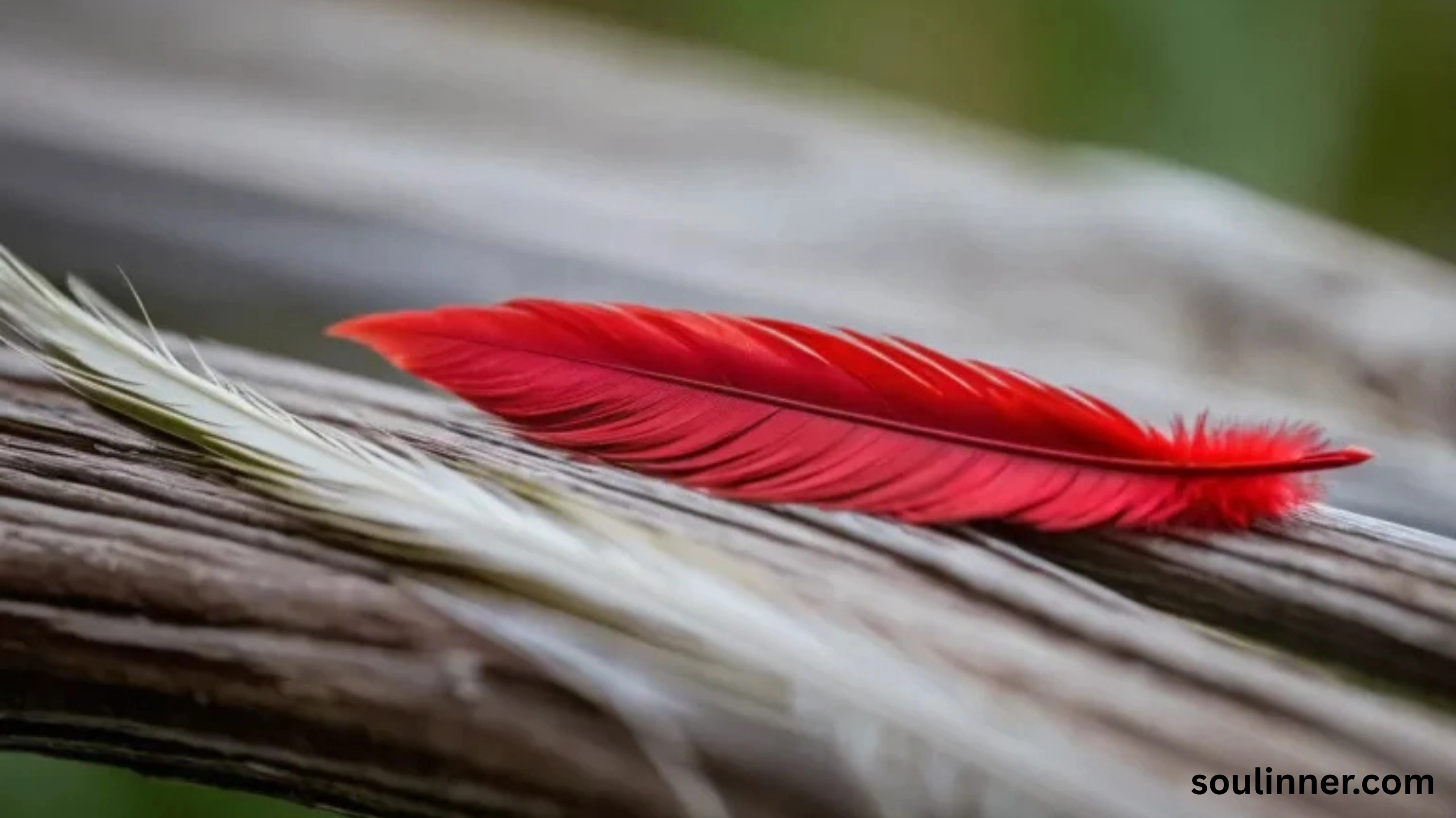 Feather Symbolism