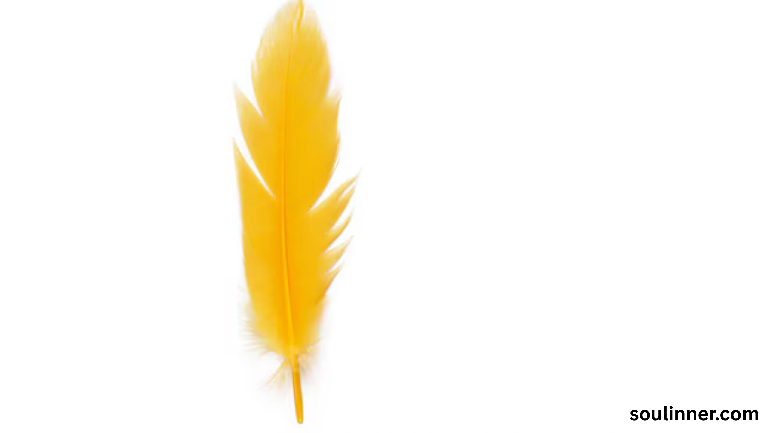 Feather Symbolism