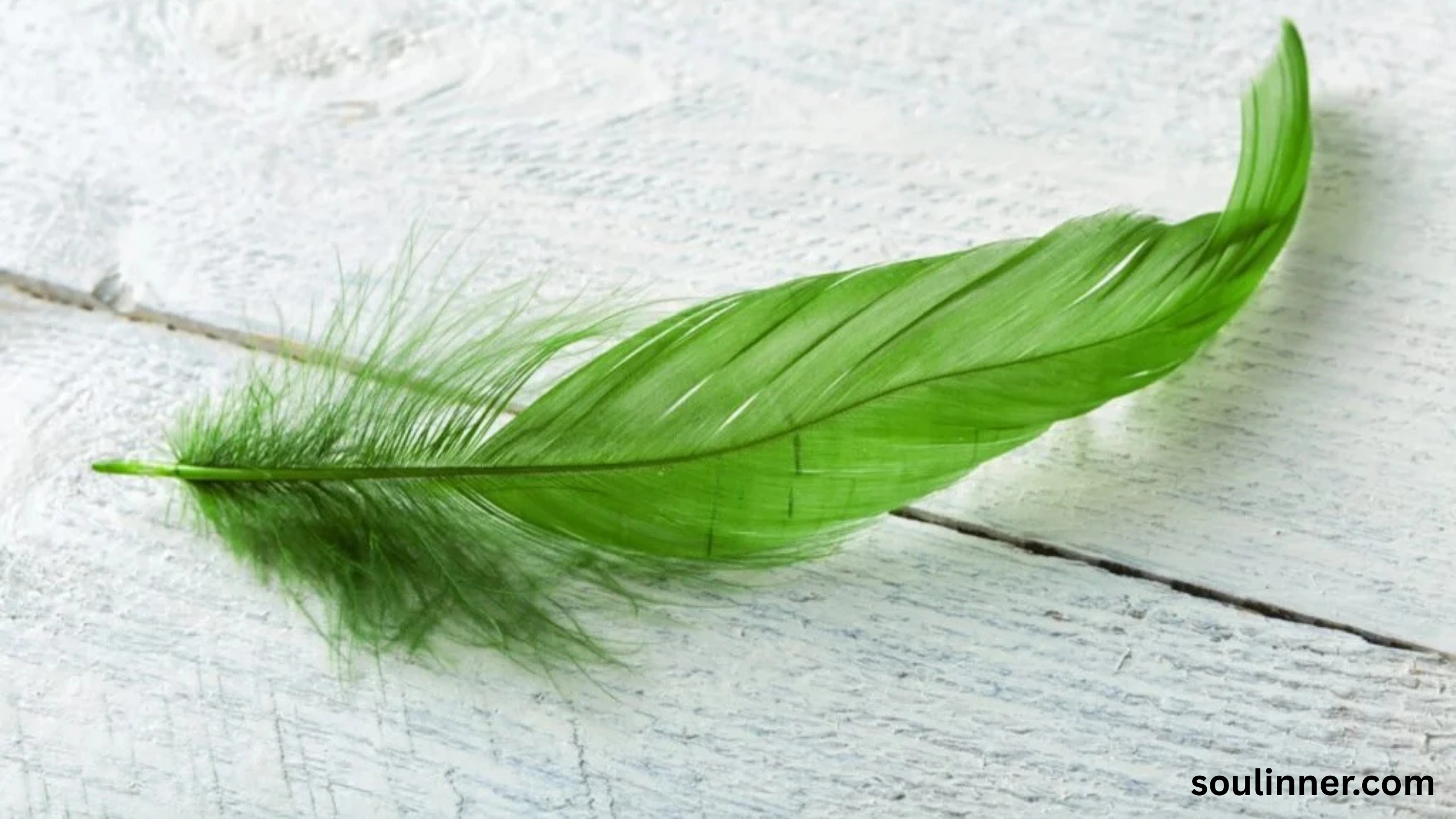 Feather Symbolism