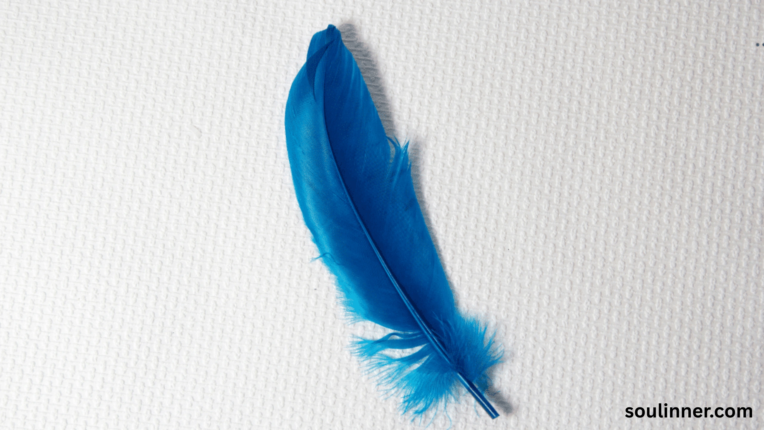 Feather Symbolism
