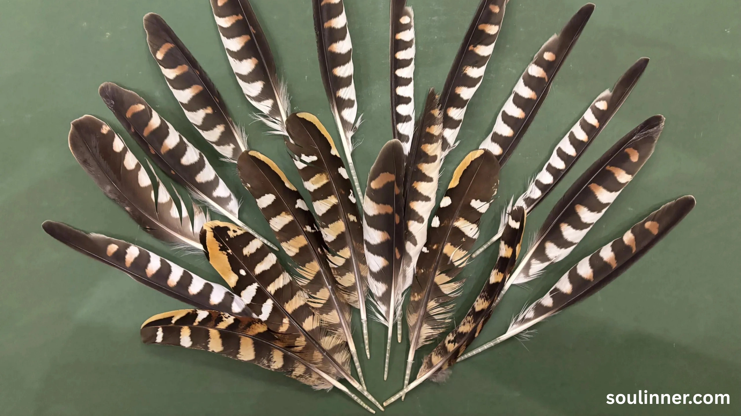 Feather Symbolism