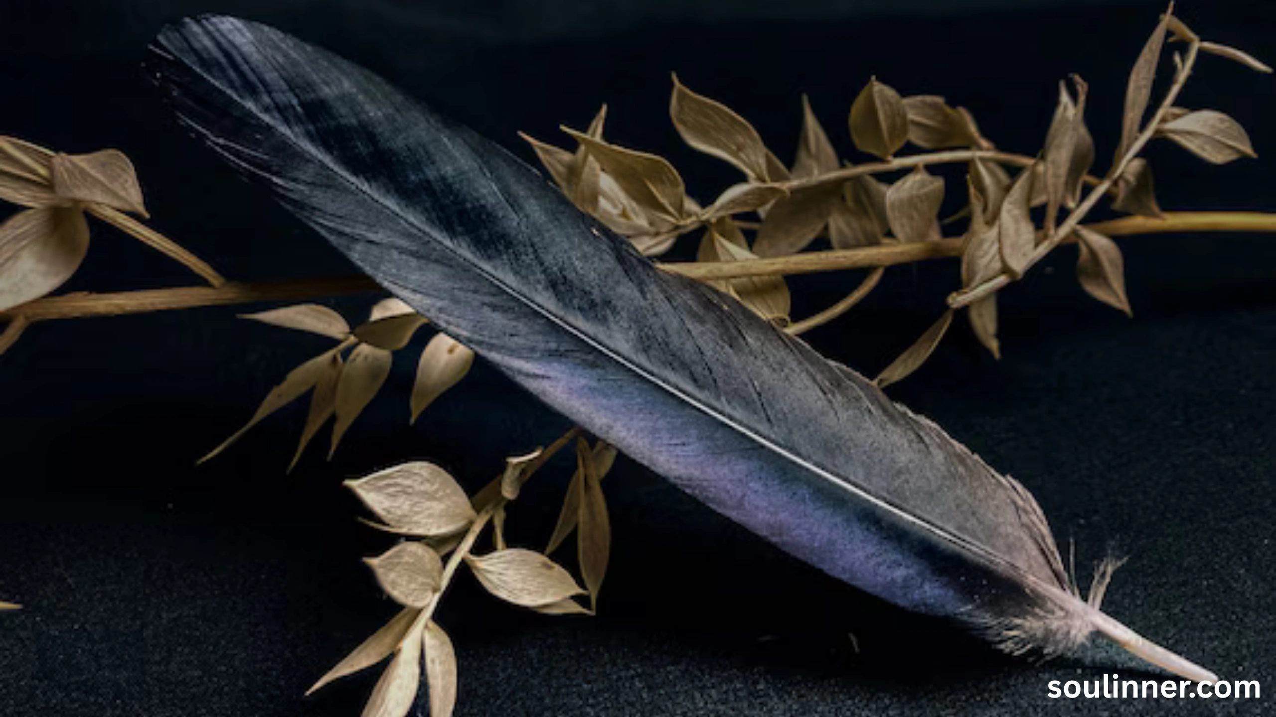 Feather Symbolism