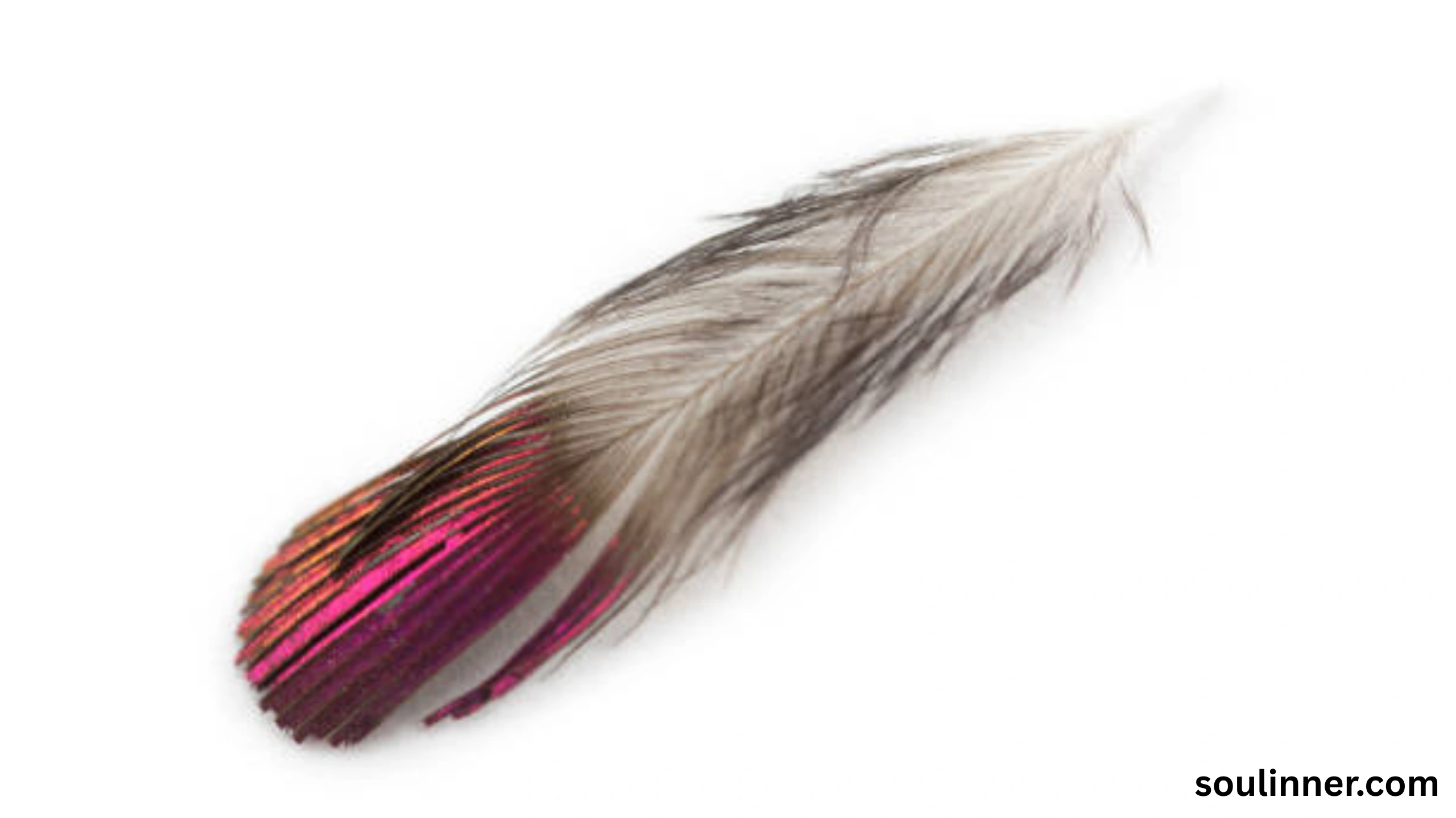 Feather Symbolism