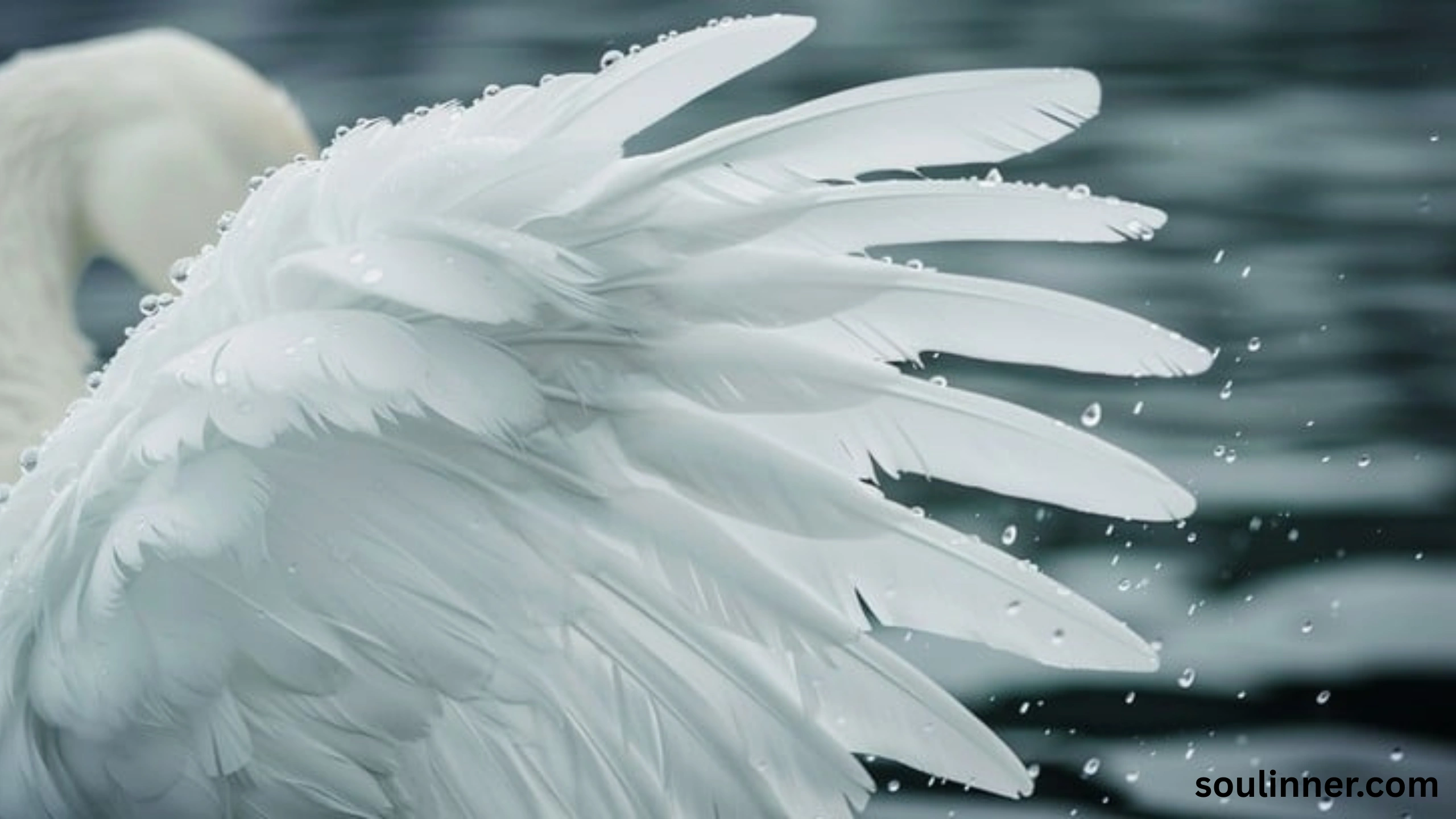Feather Symbolism