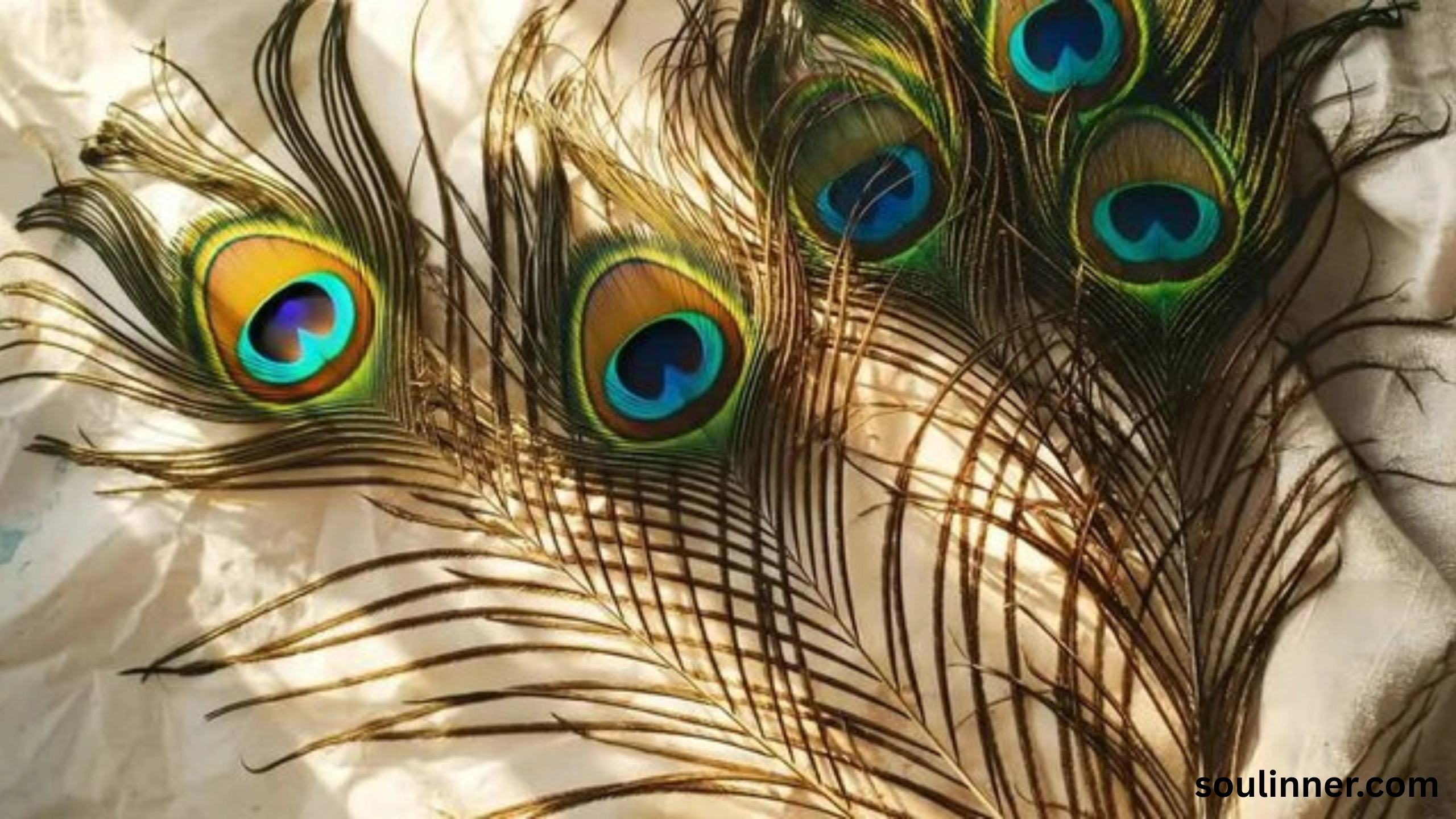 Feather Symbolism