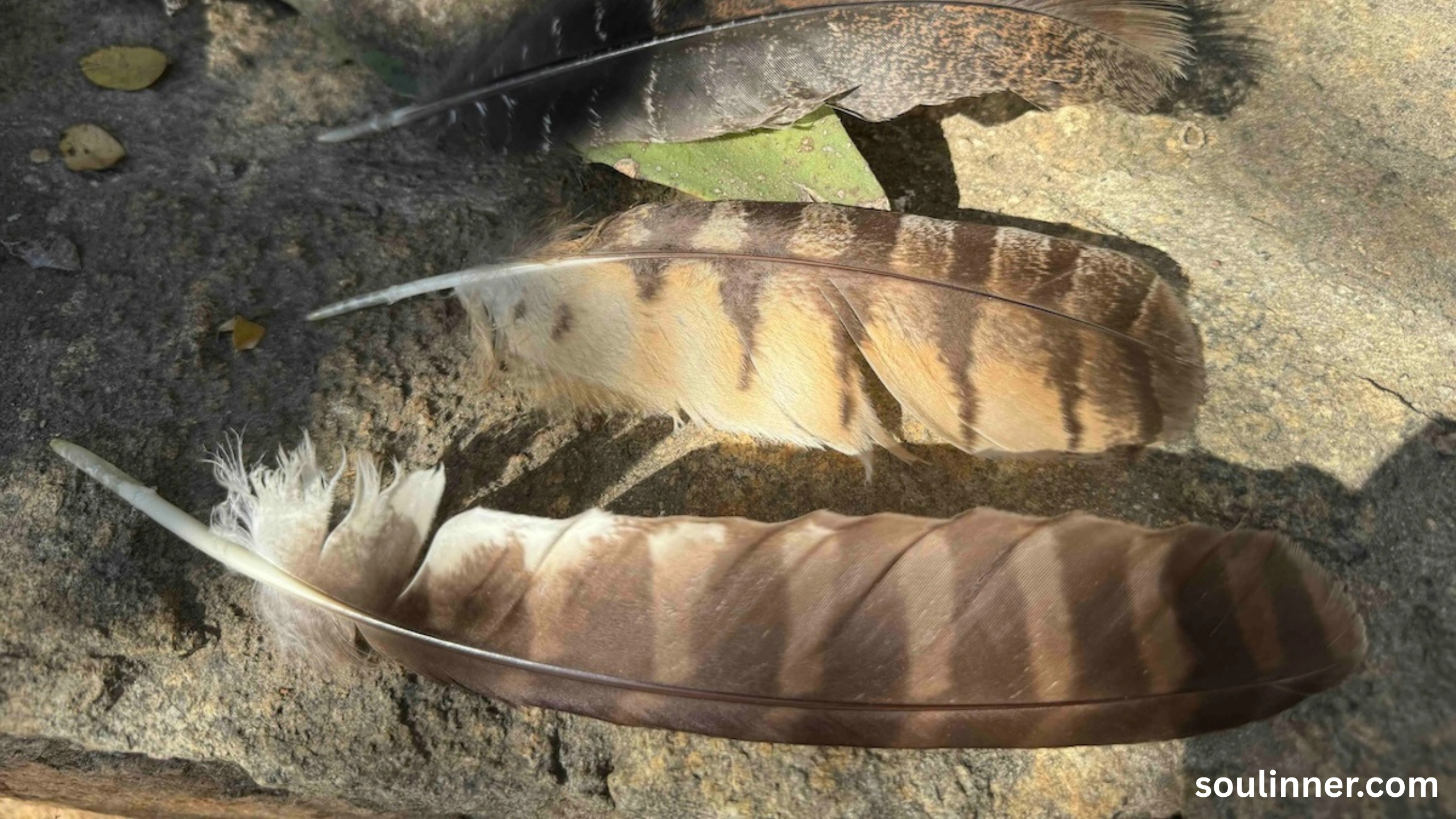 Feather Symbolism