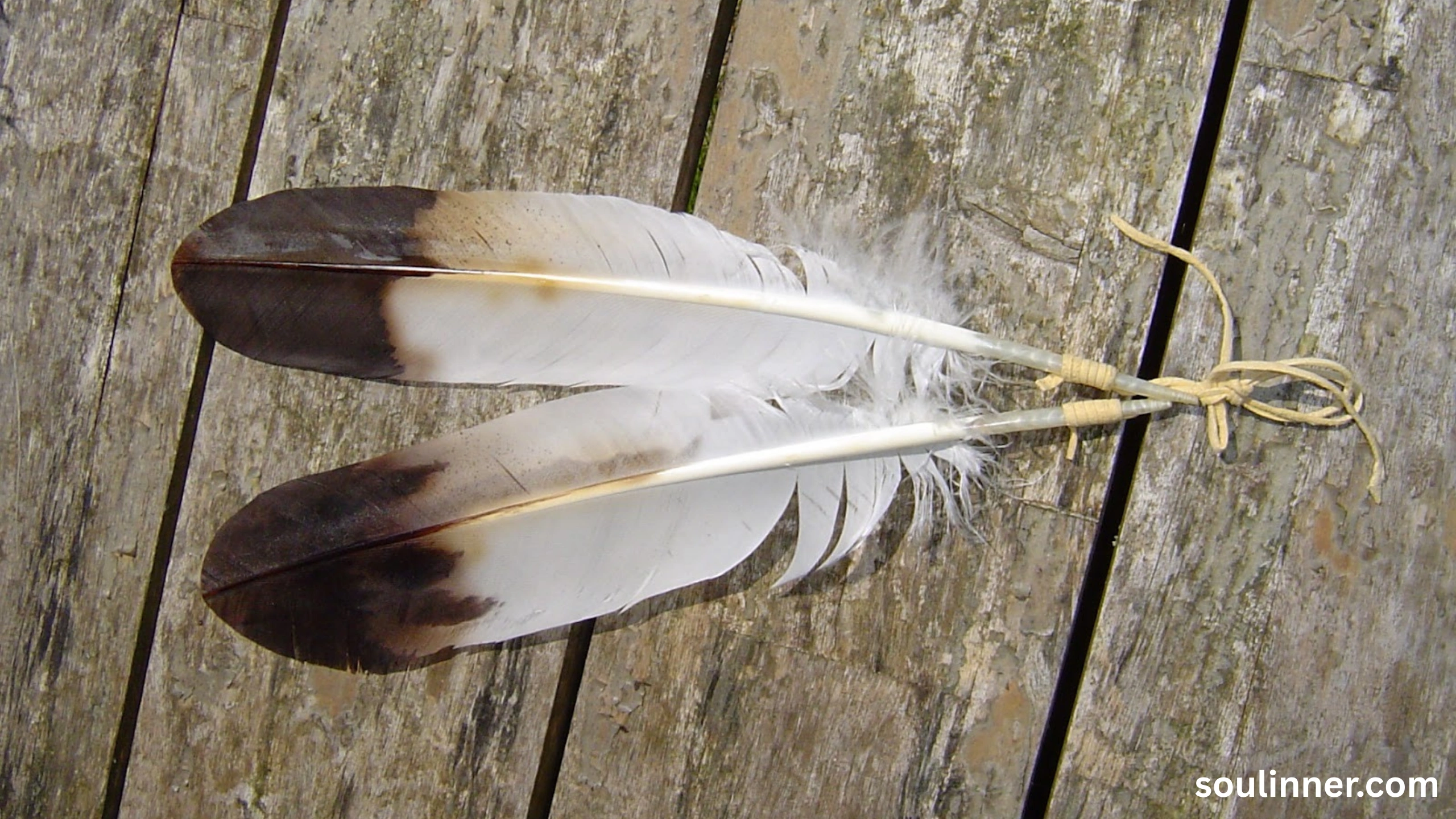 Feather Symbolism