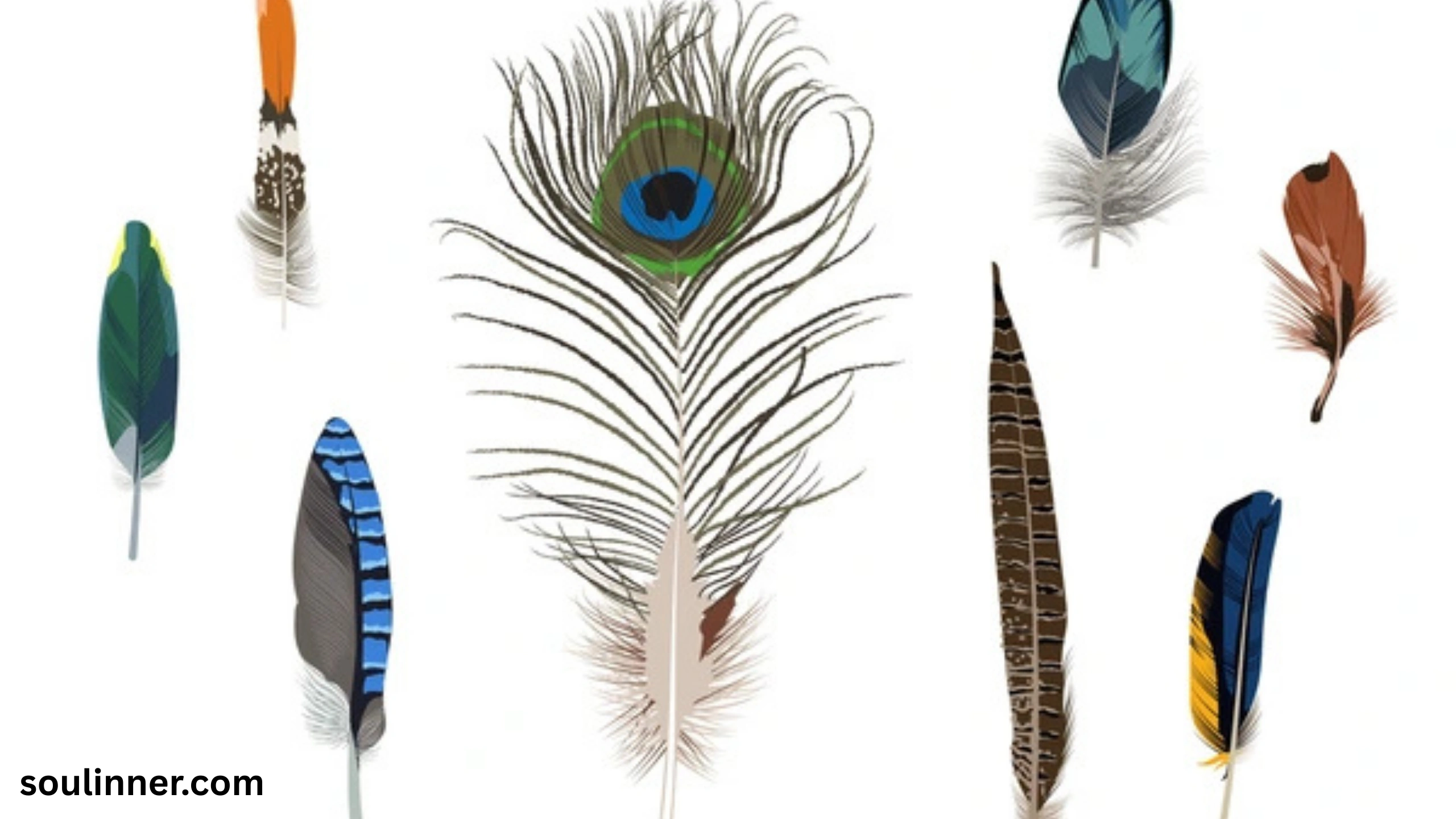 Feather Symbolism