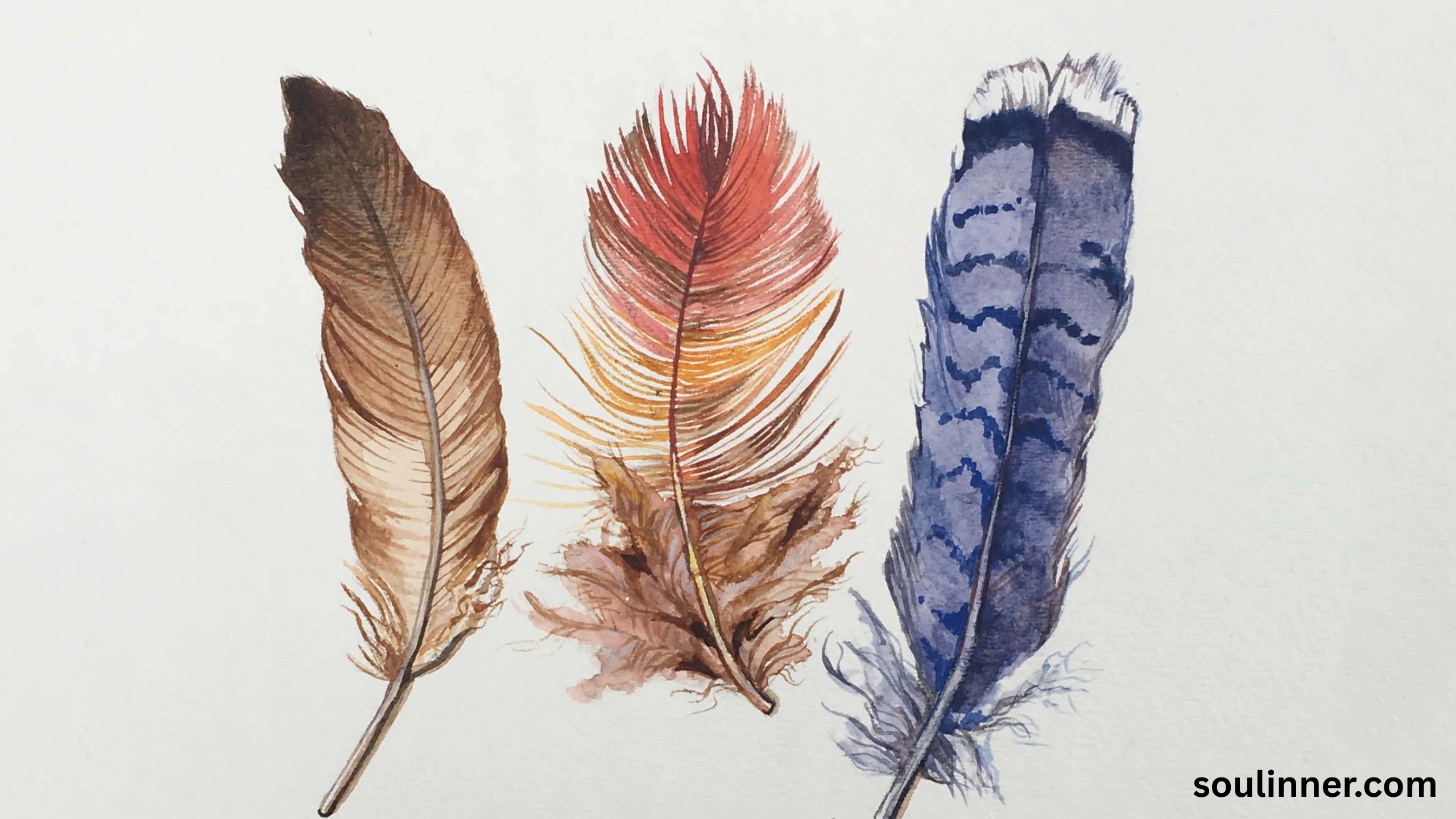 Feather Symbolism