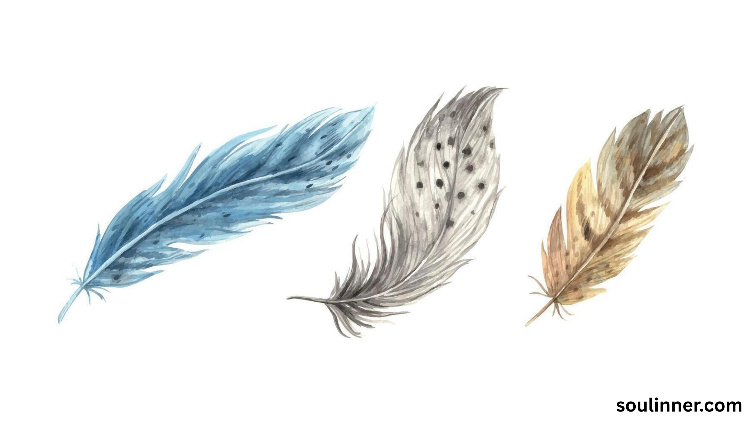 Feather Symbolism